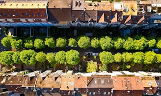 a group of buildings with trees in the front