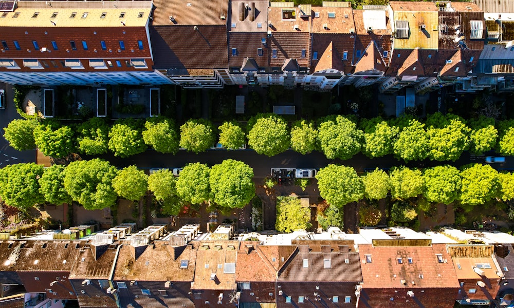 a group of buildings with trees in the front