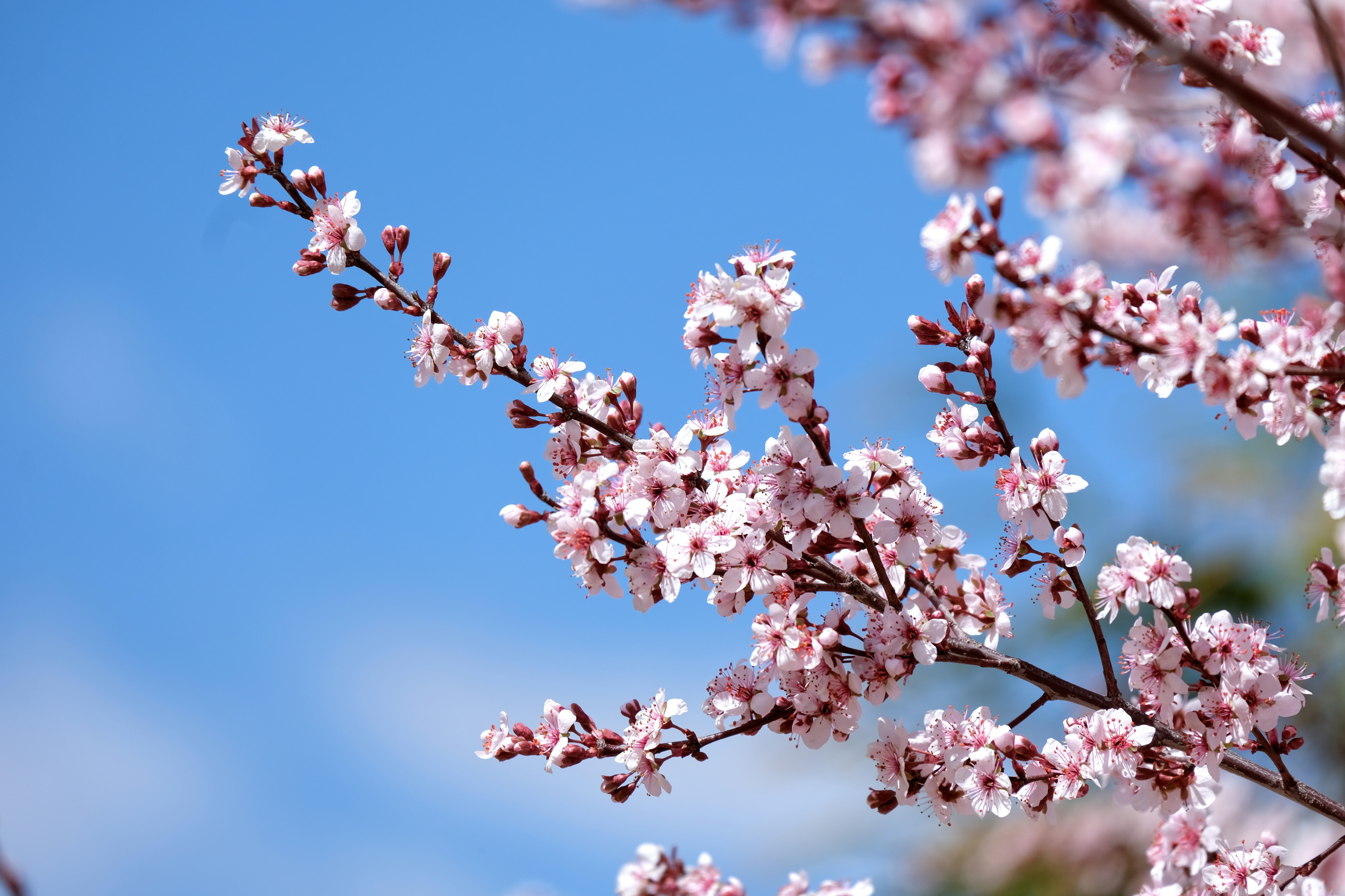 Photo by consoledotlog