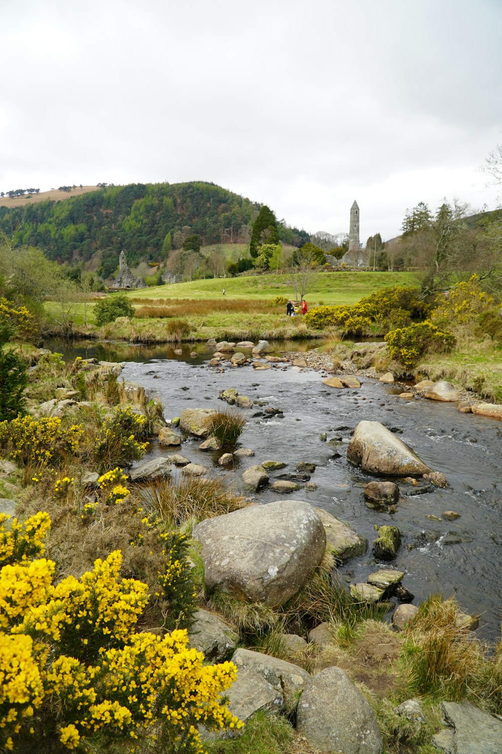 Ein Fluss mit Felsen und Gras