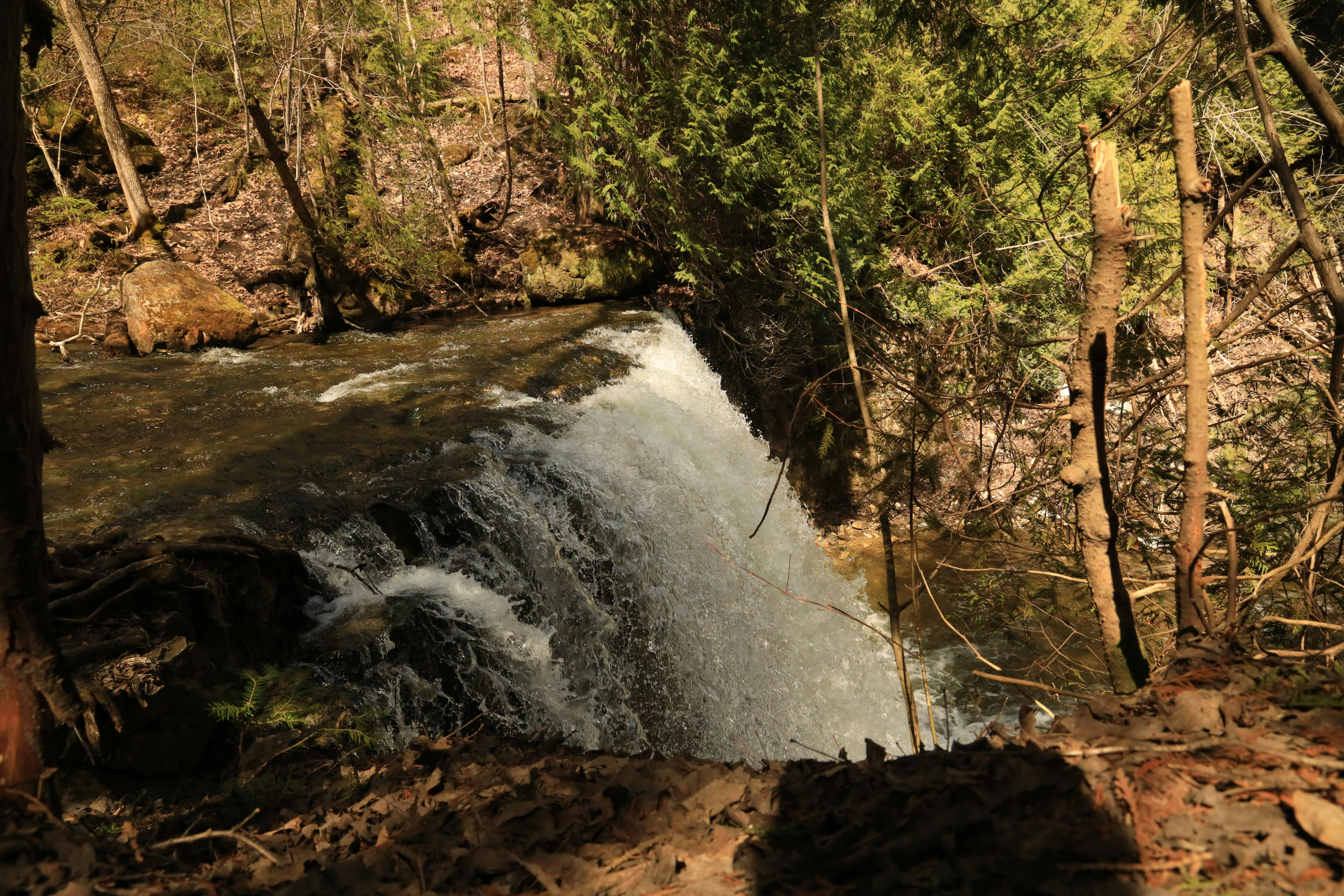 Photo by richardworks