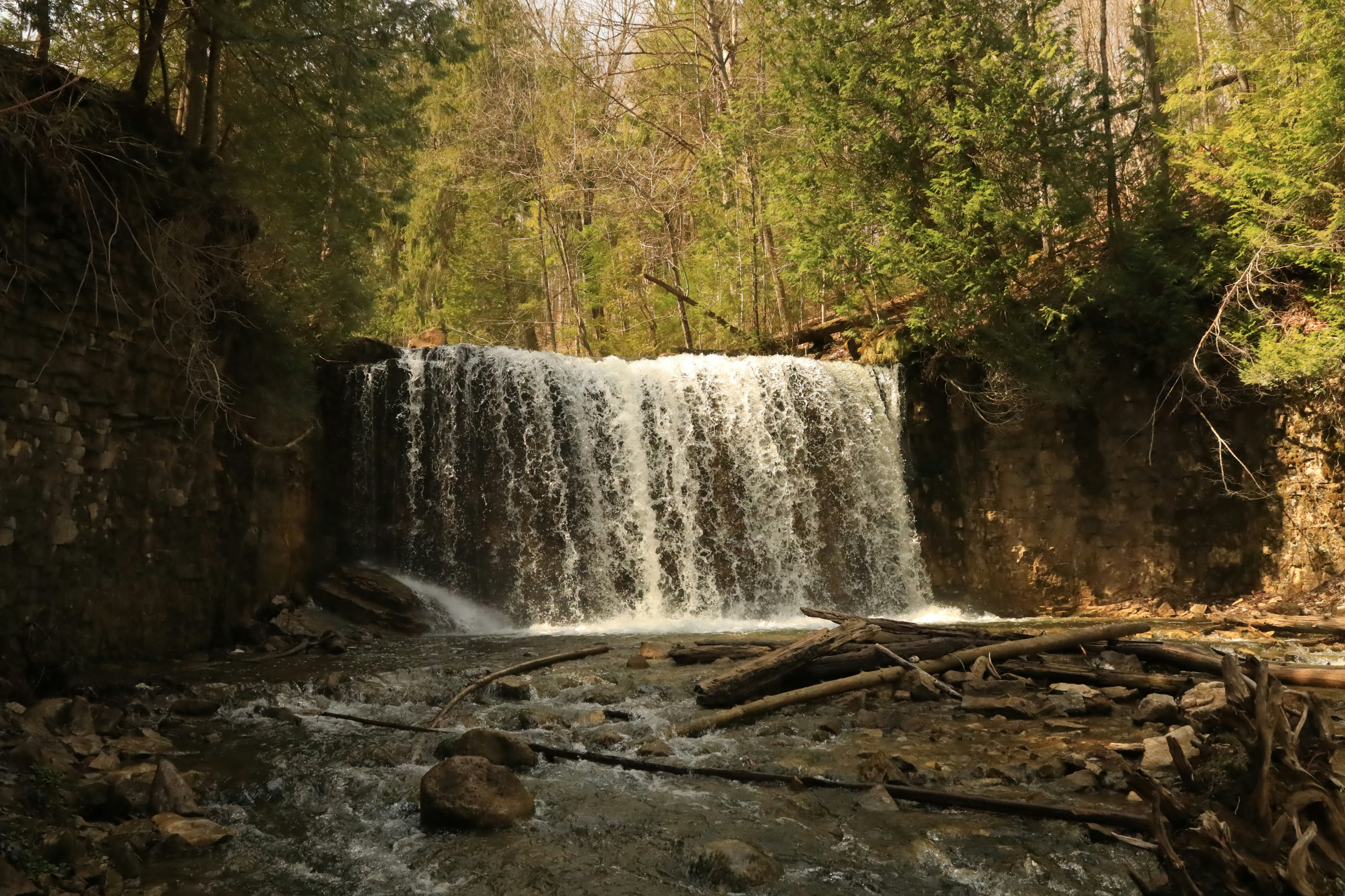 Photo by richardworks