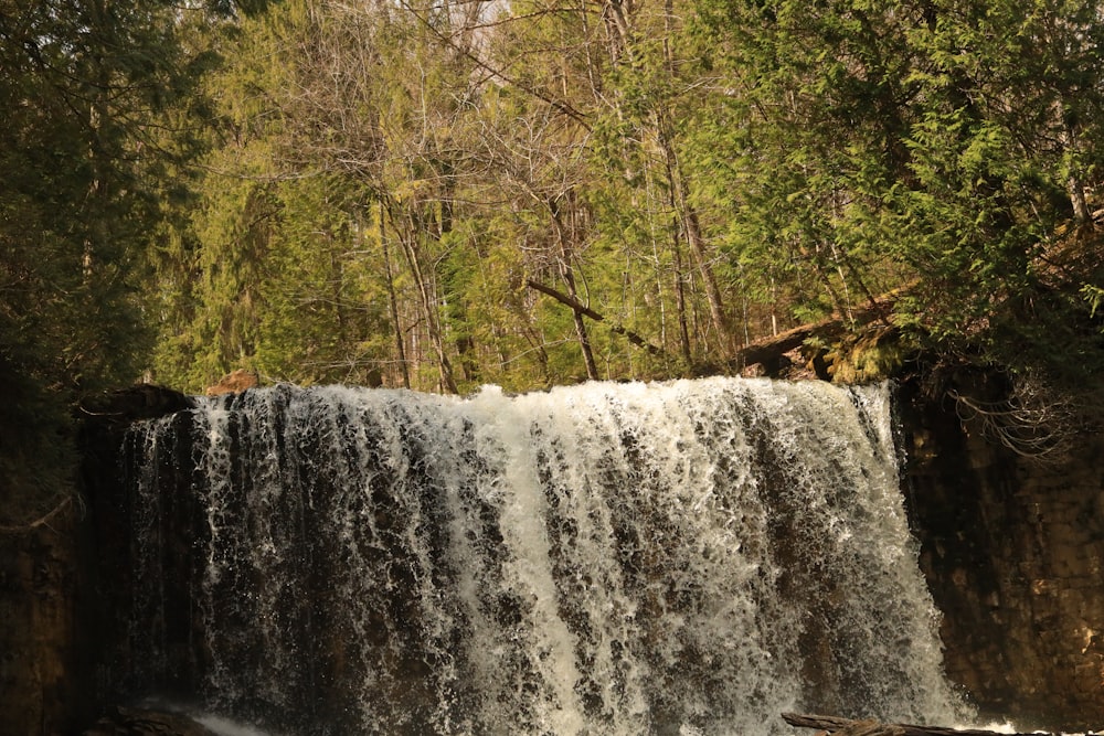 a large waterfall in a forest