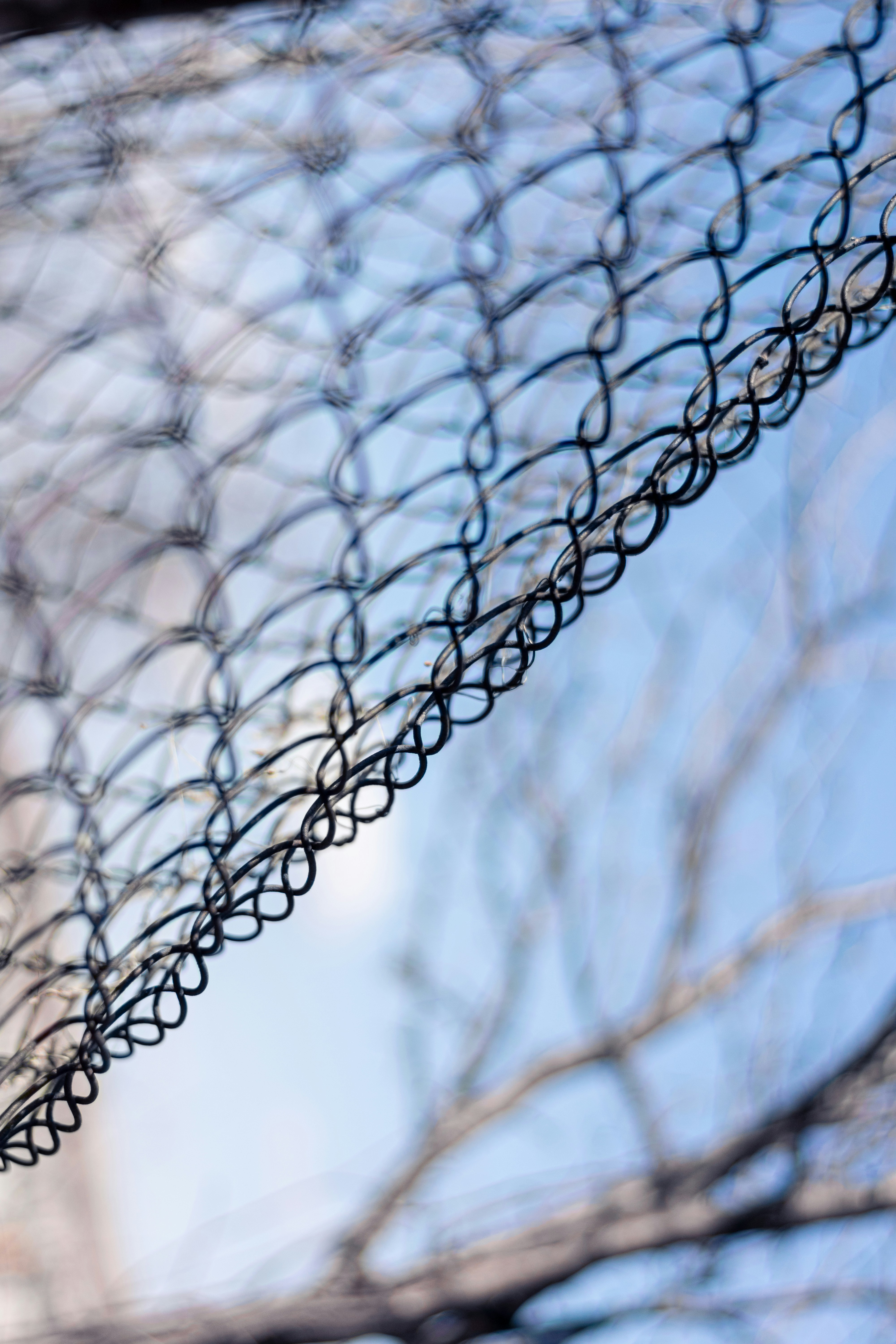 Photo by therealslkhv