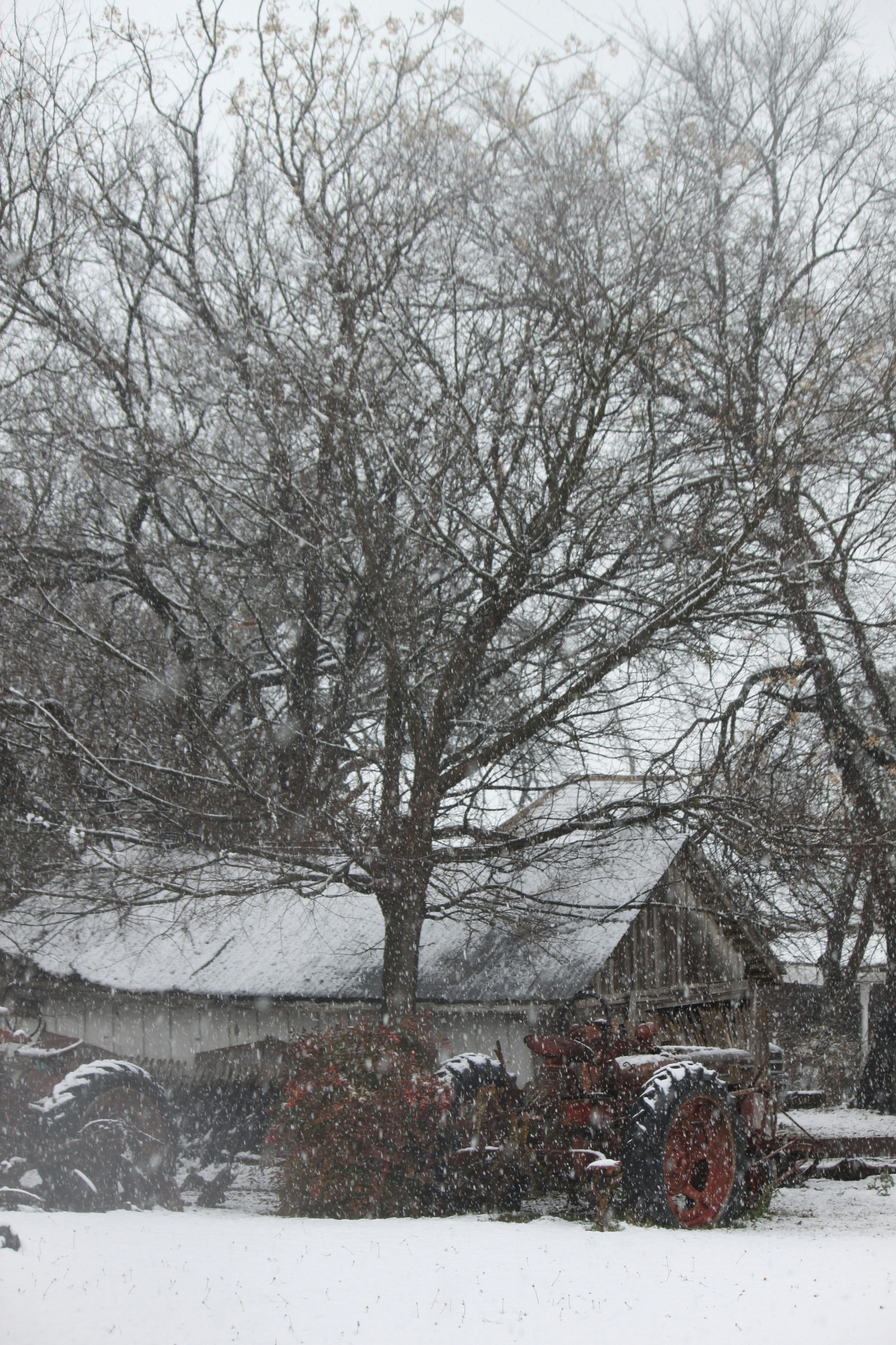 Photo by faithzachary