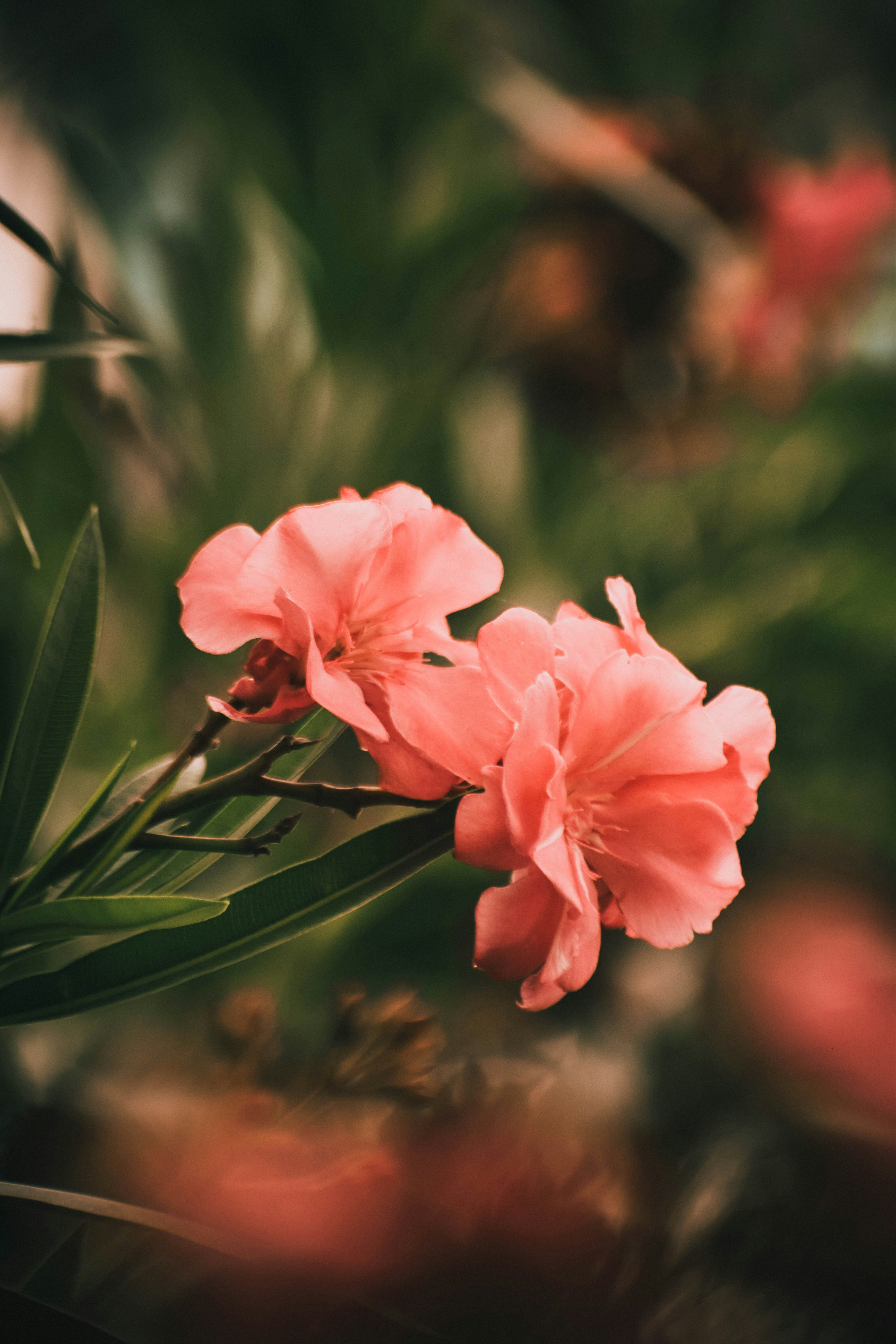 Photo by navi_photography