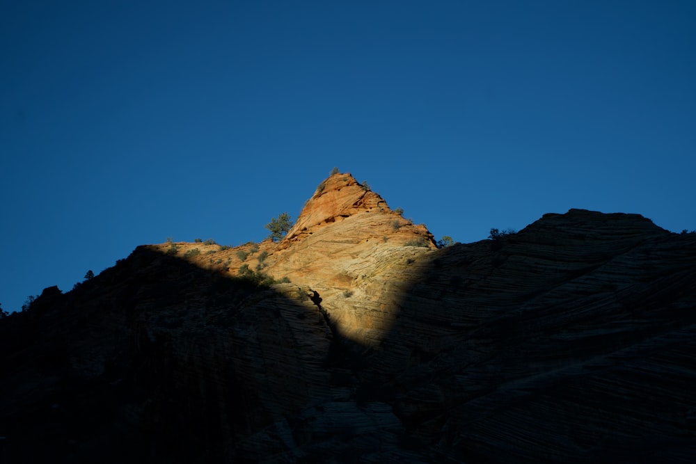 a mountain with a tree on top