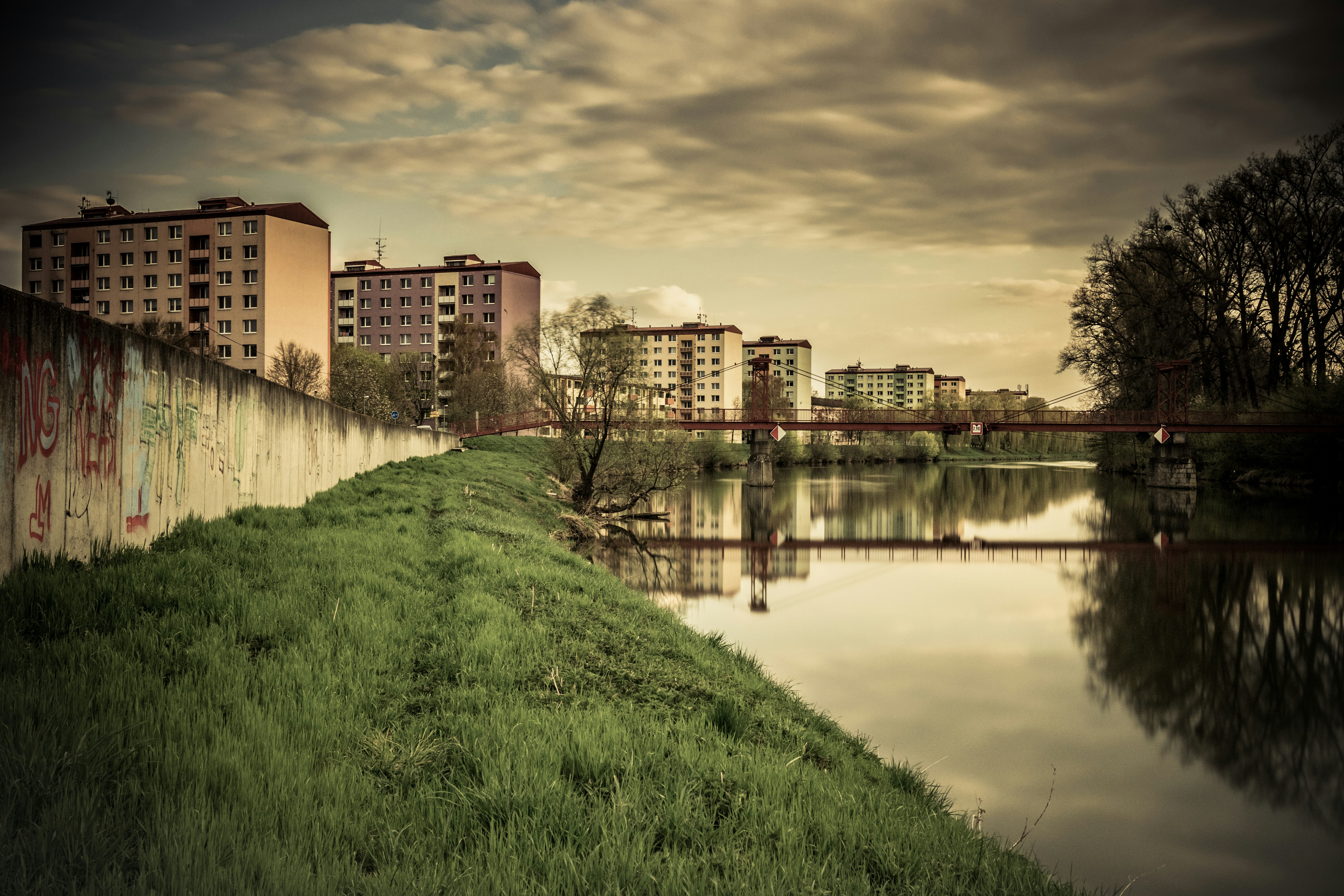 풀과 건물이있는 강