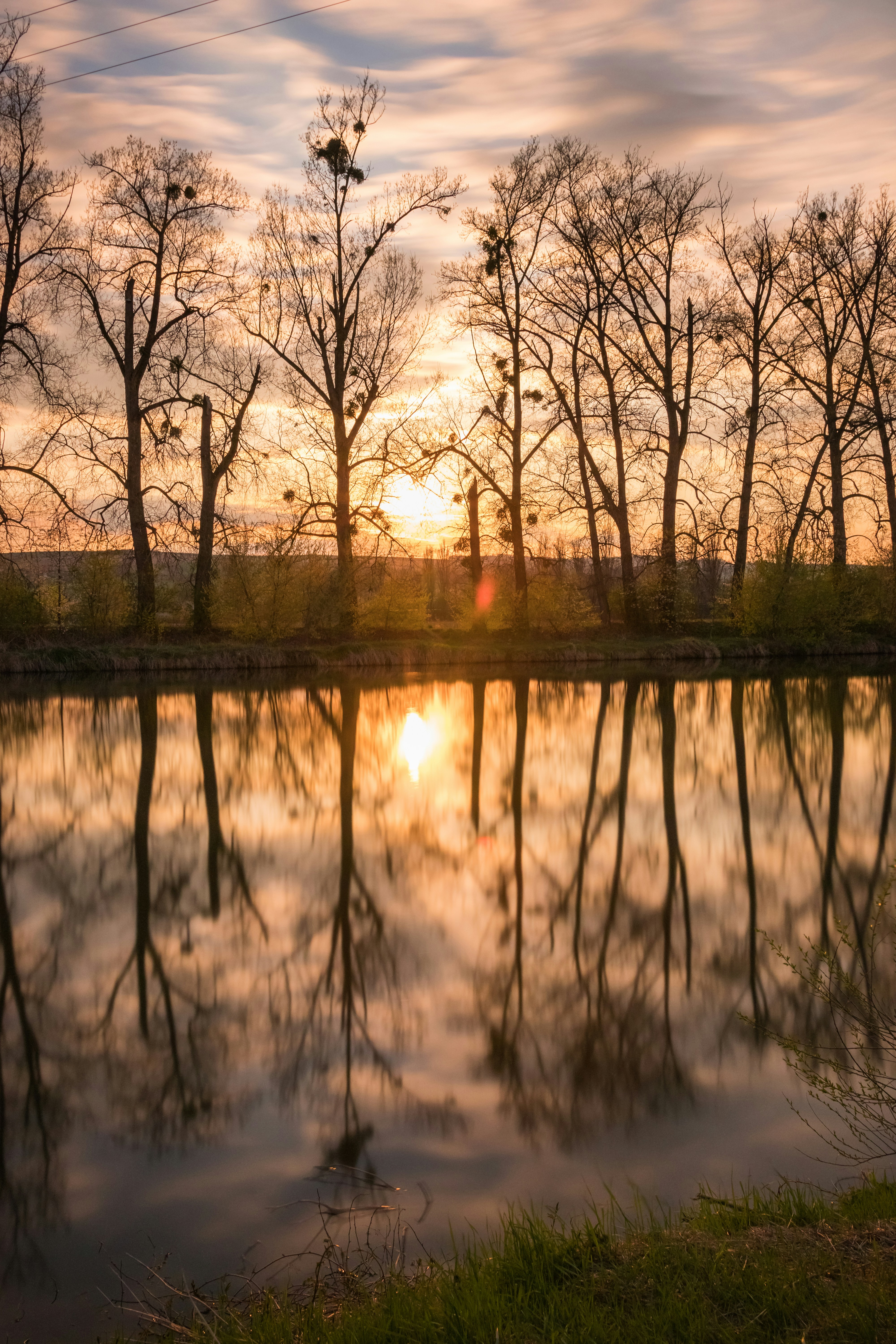 주변에 나무가있는 수역