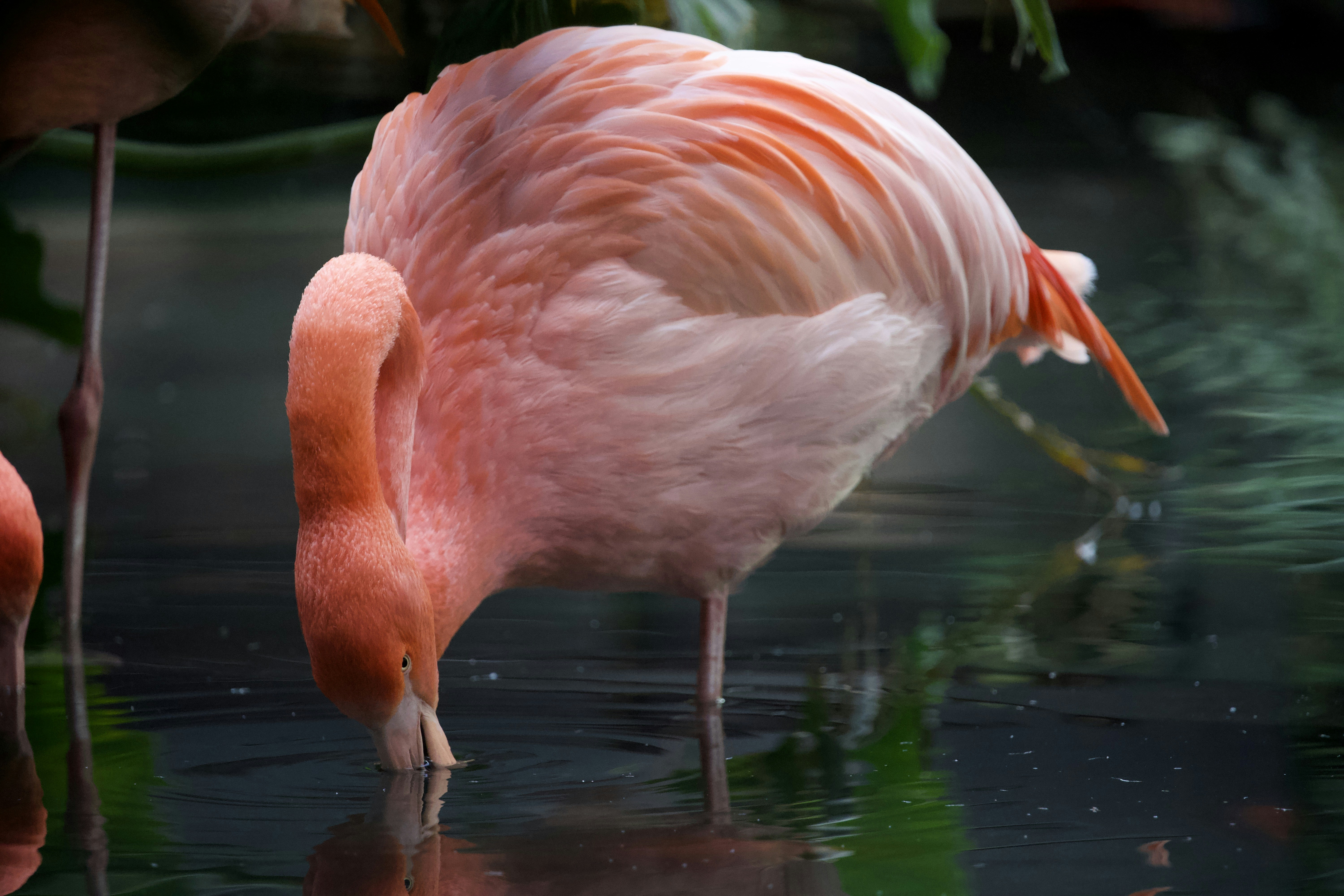 Photo by silenceontourne