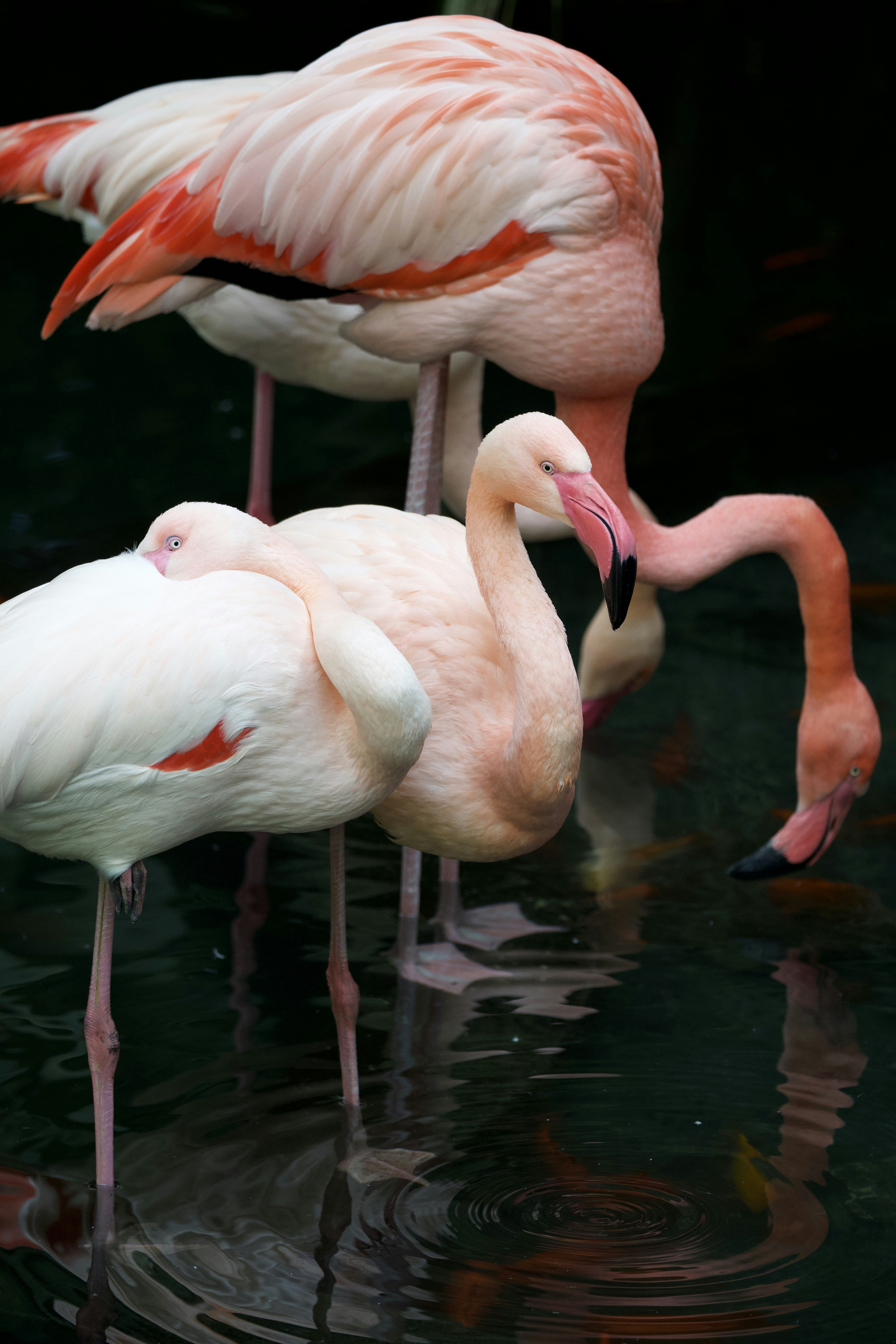 Photo by silenceontourne