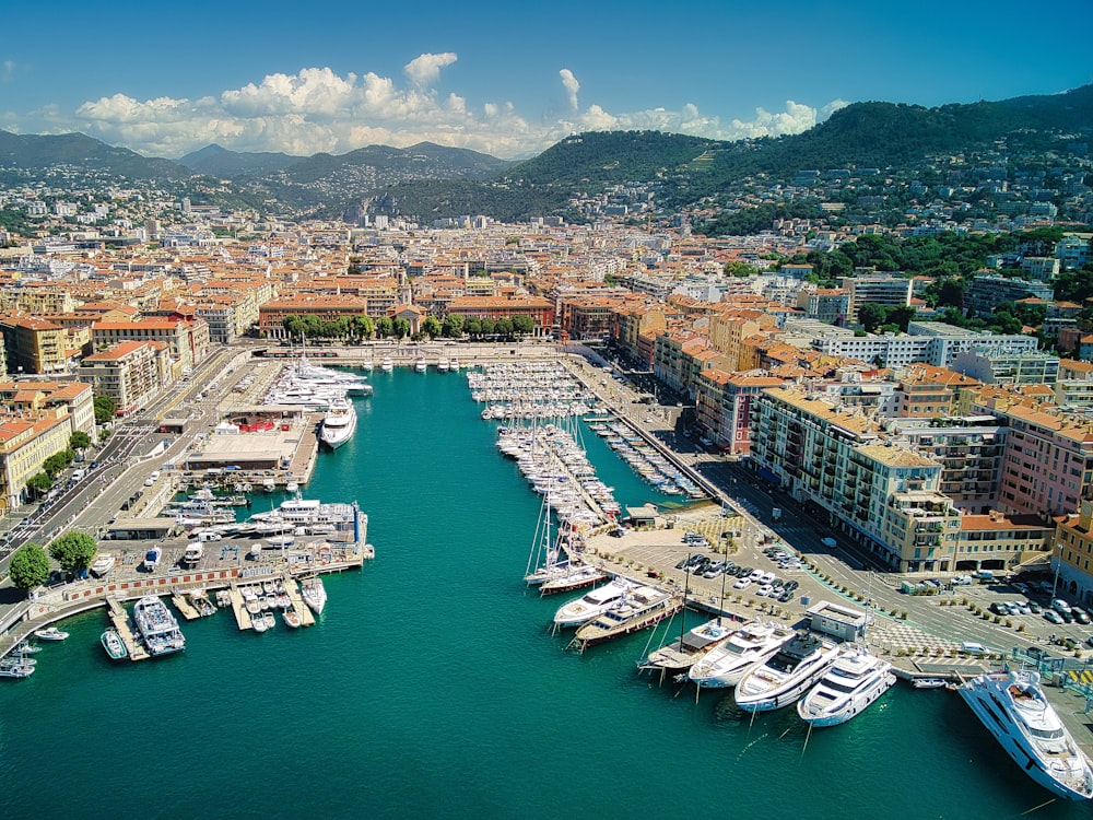 a city with many boats