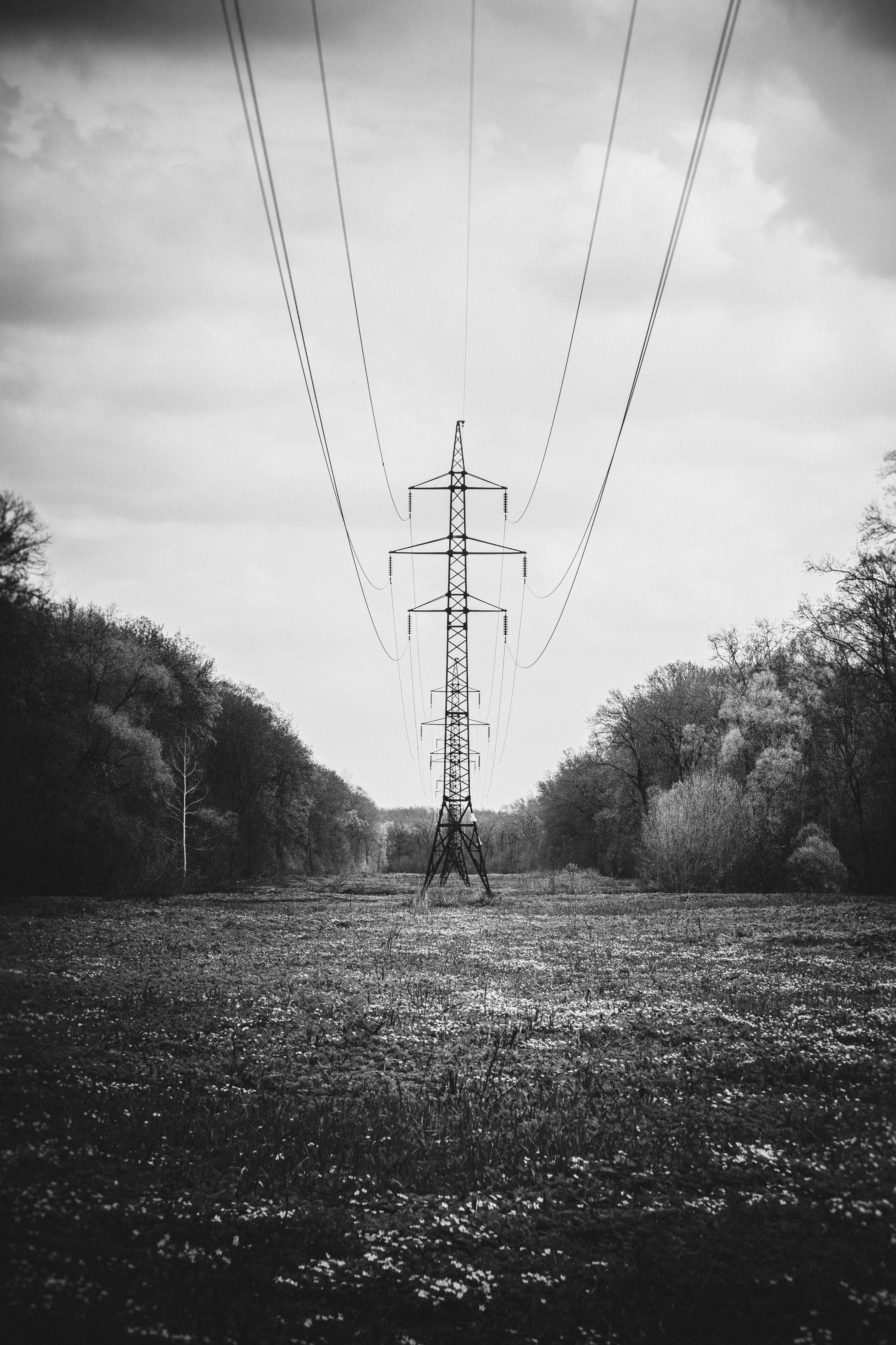 una torre per linee elettriche