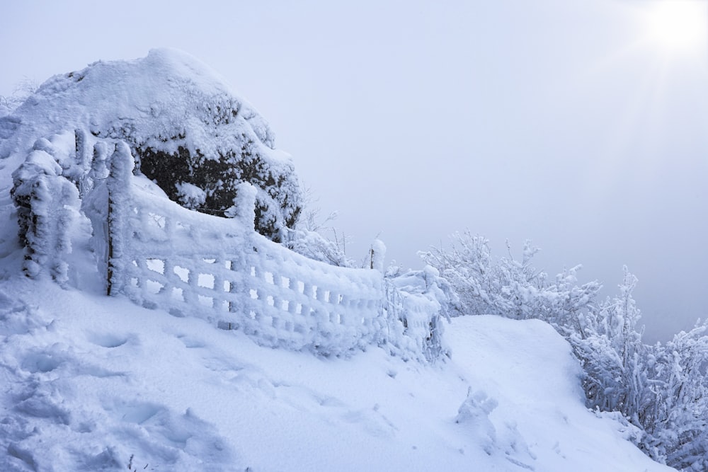 Ein schneebedeckter Berg mit Bäumen