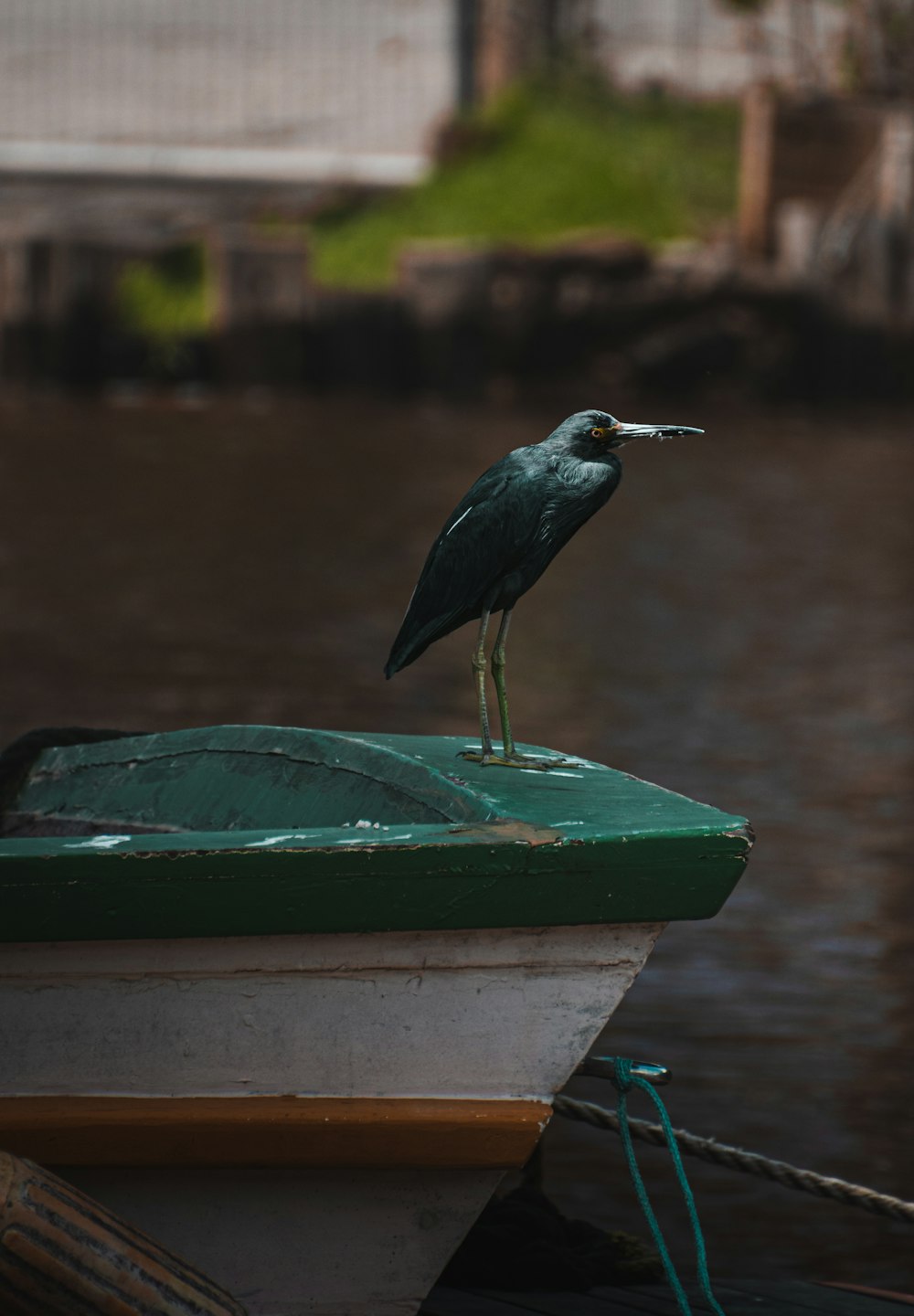 a bird on a green object