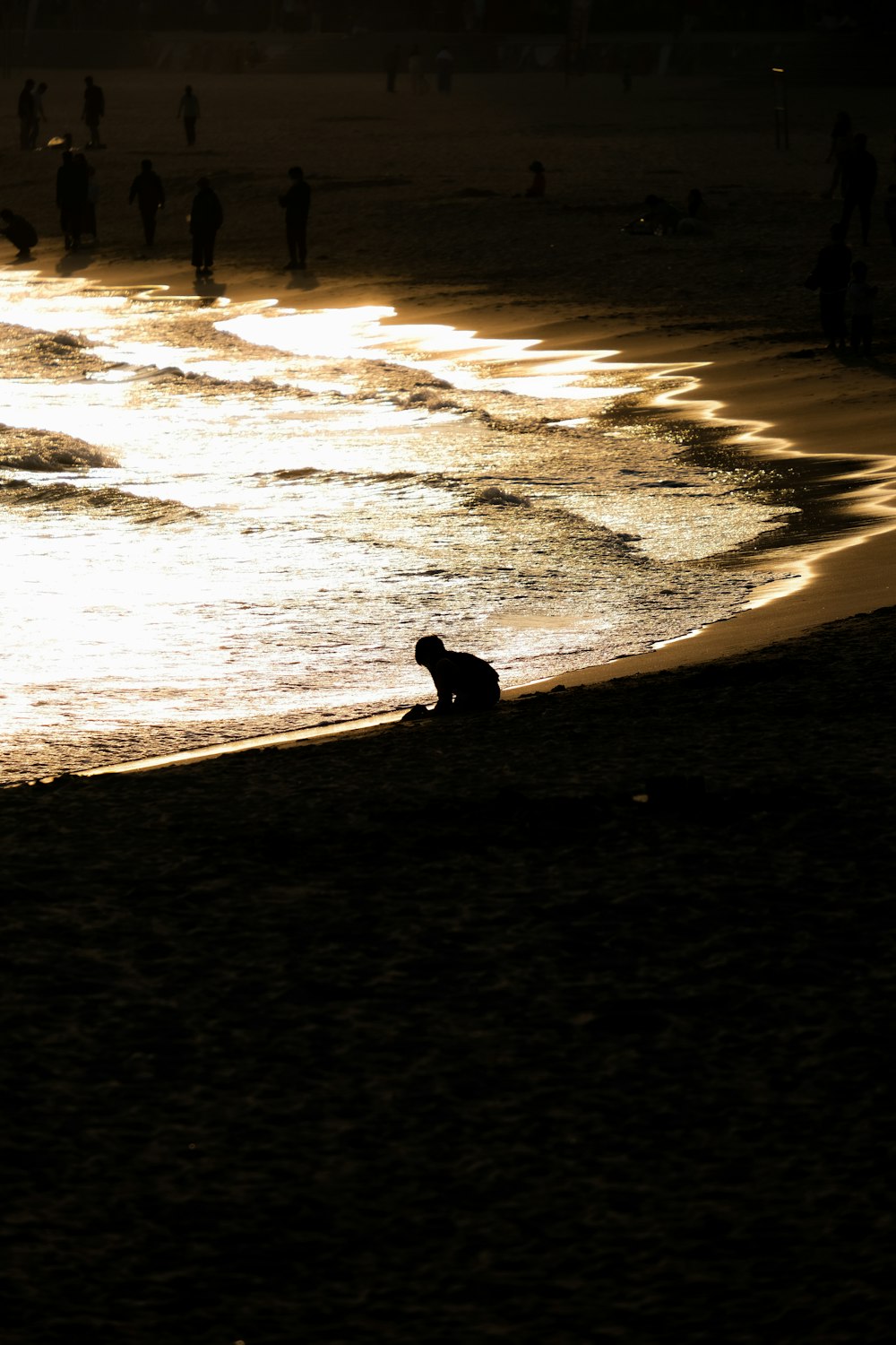 a group of people on a beach