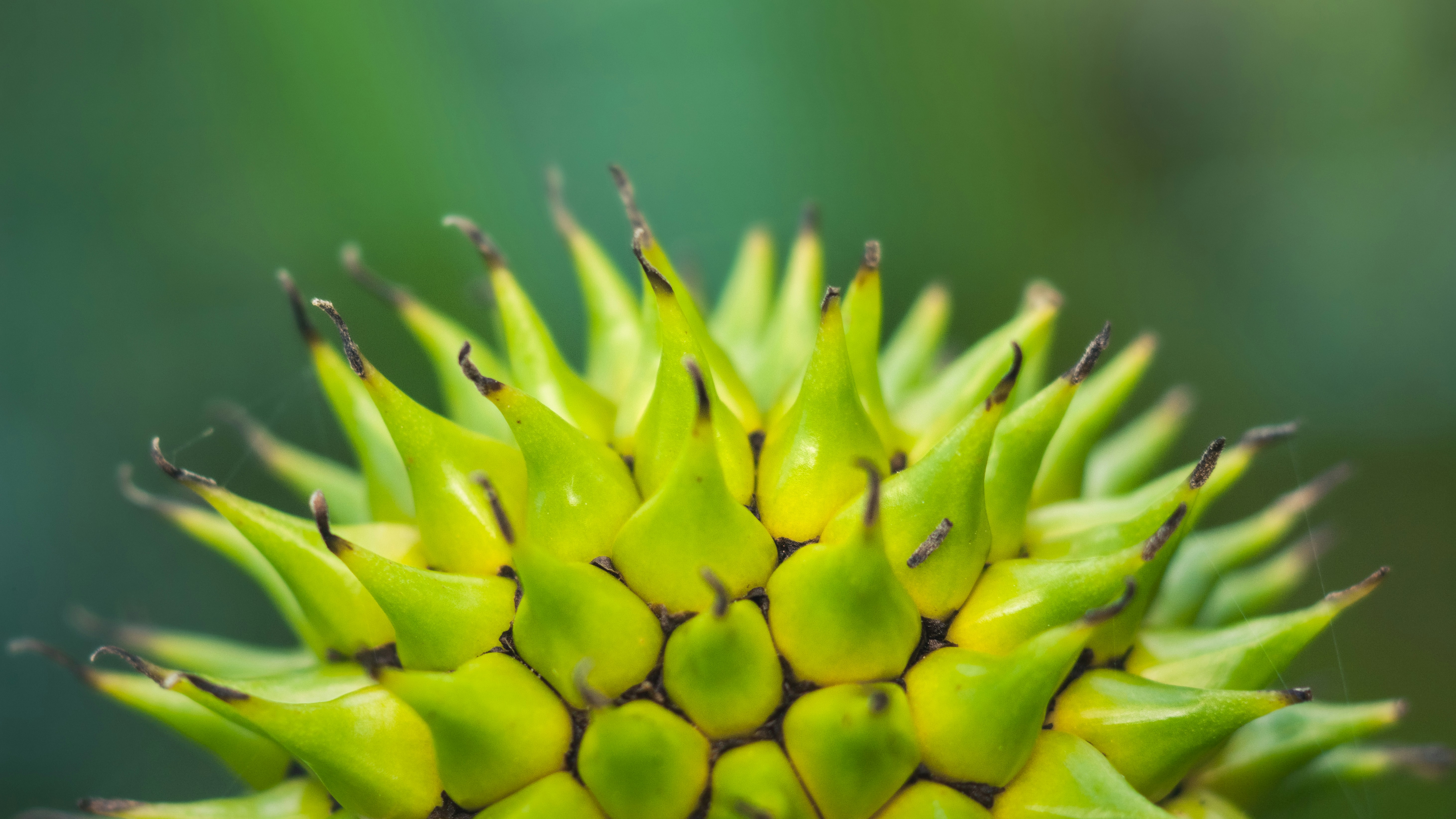 Photo by marekpiwnicki