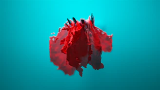 a red jellyfish in the water