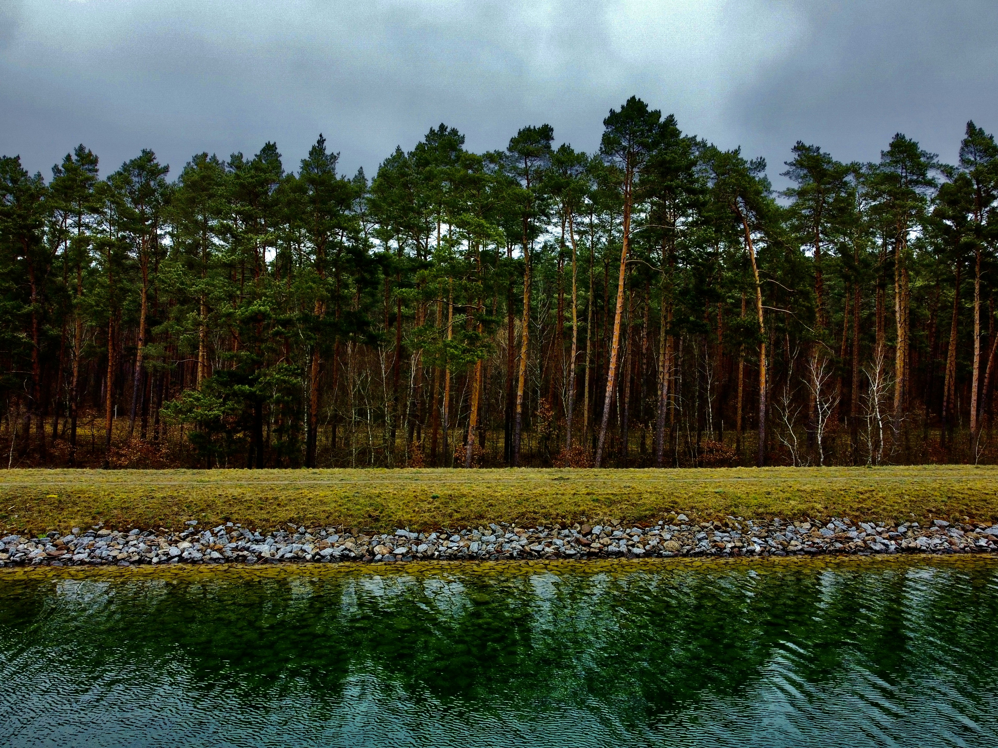 a body of water with trees around it