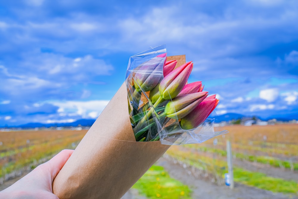 una mano sosteniendo una flor