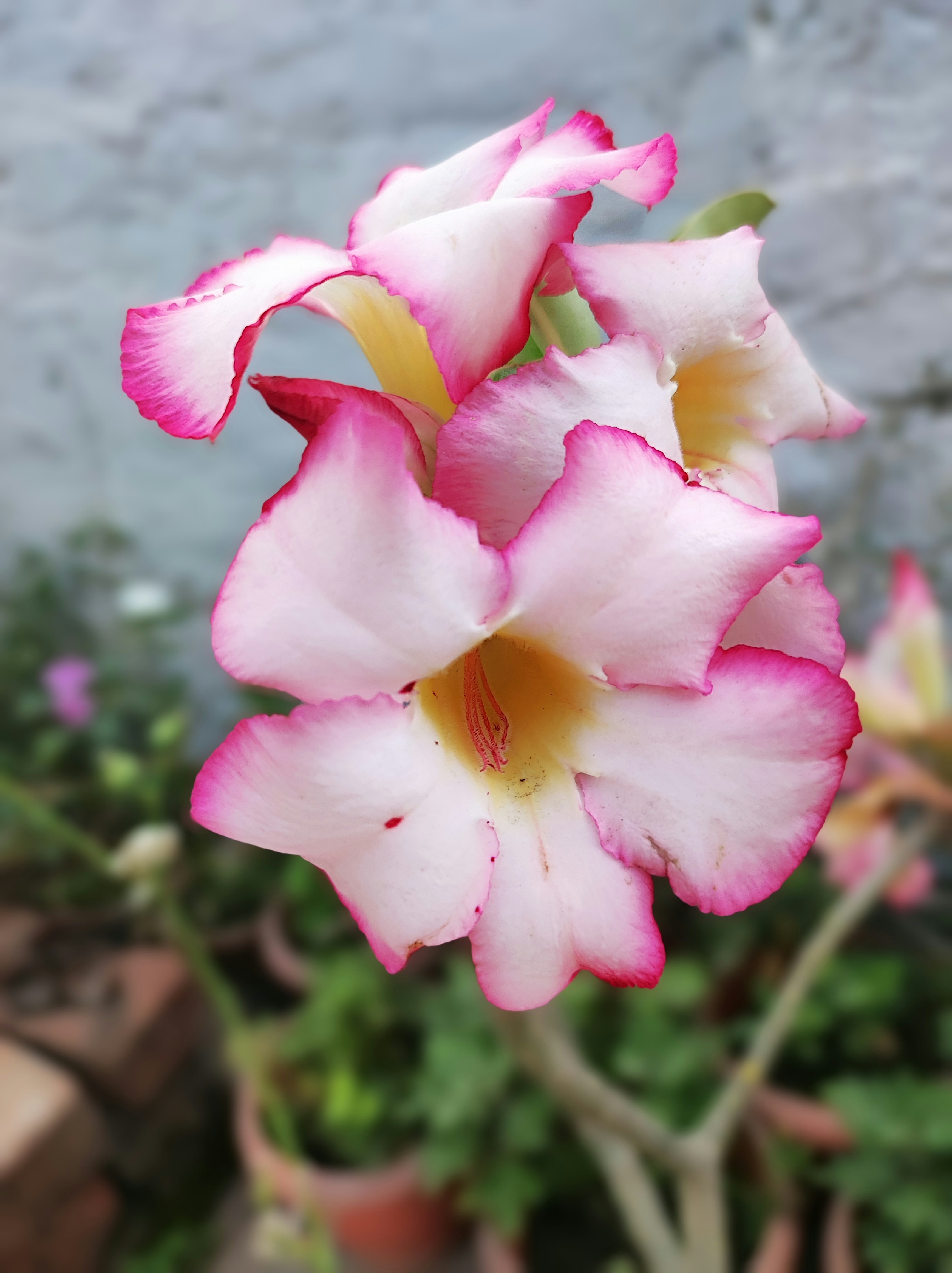 Photo by creativelove