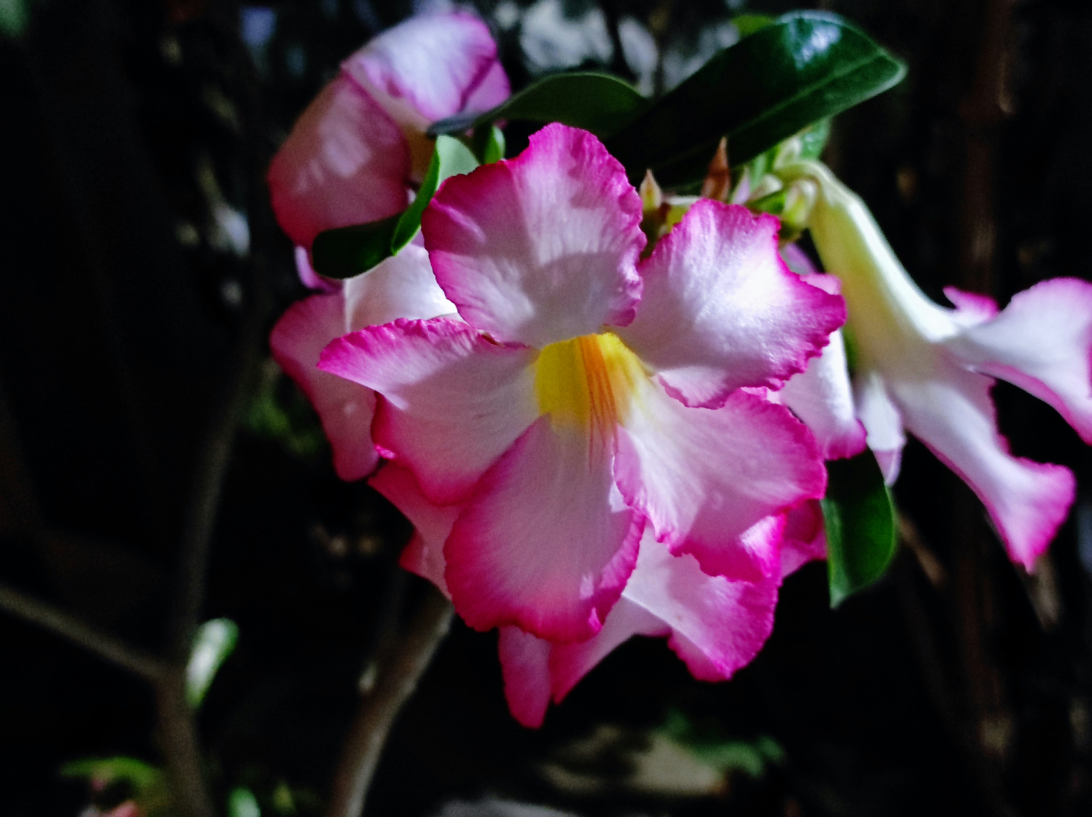 Photo by creativelove