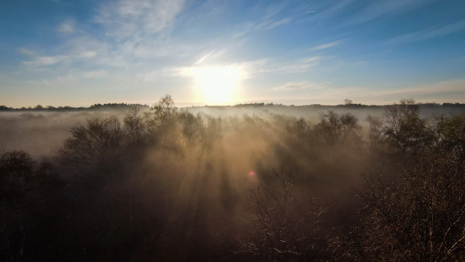 Serene landscape with large body of water, surrounded by trees and shrubs in sunlight