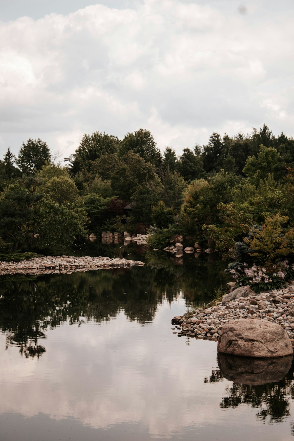 a body of water with trees around it