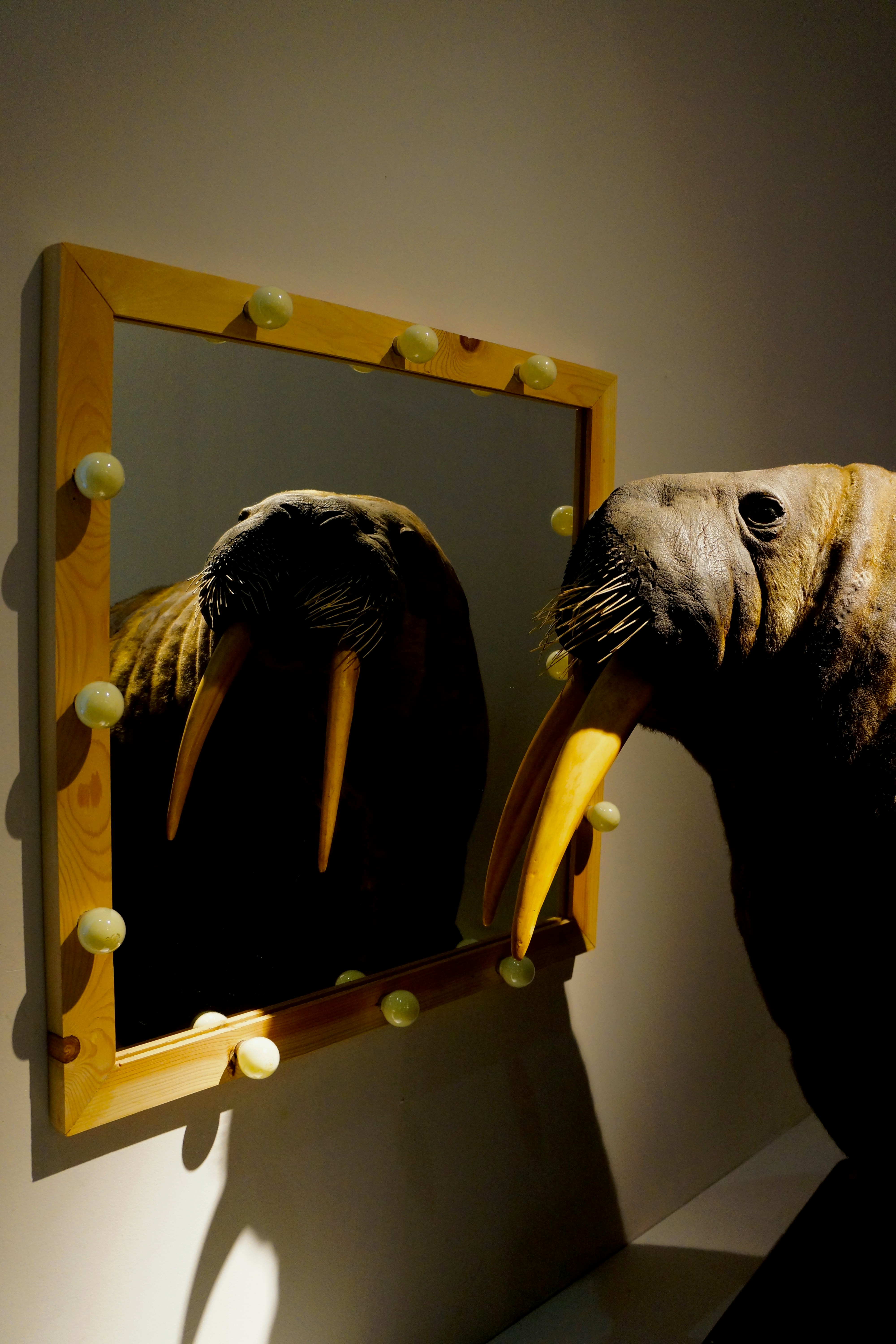 It Begins with Personal Growth