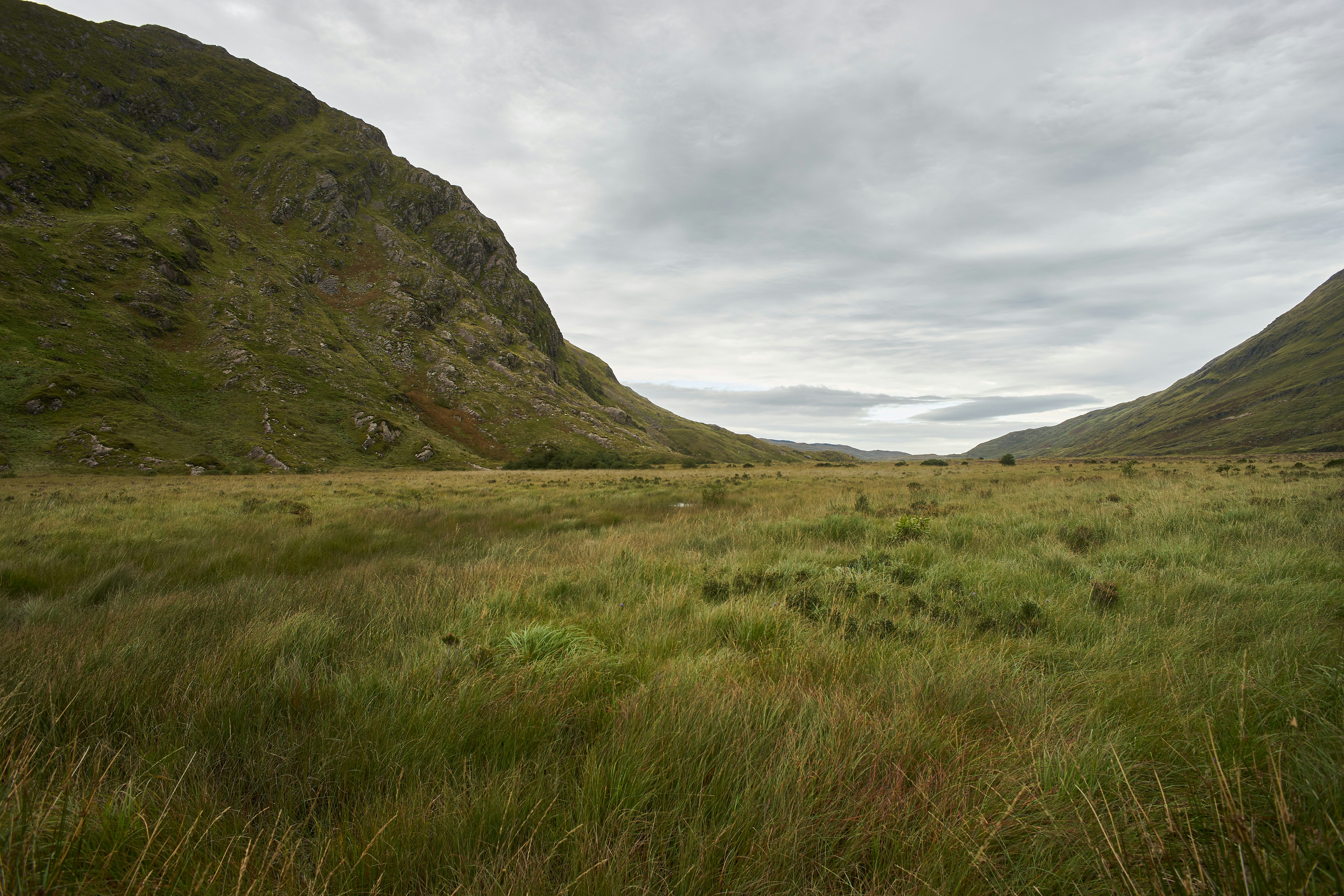 Photo by wolfgang_hasselmann