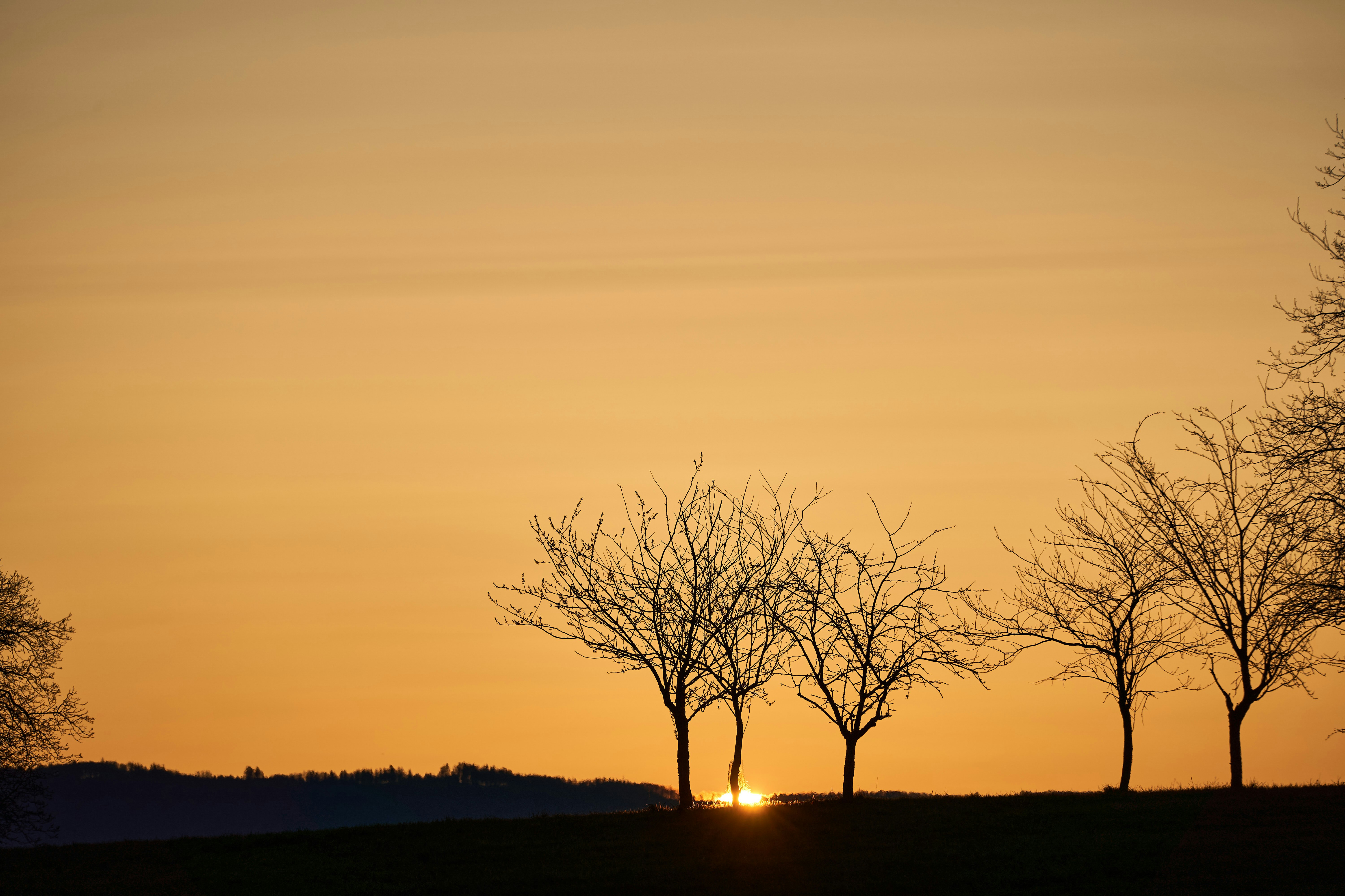 Photo by wolfgang_hasselmann