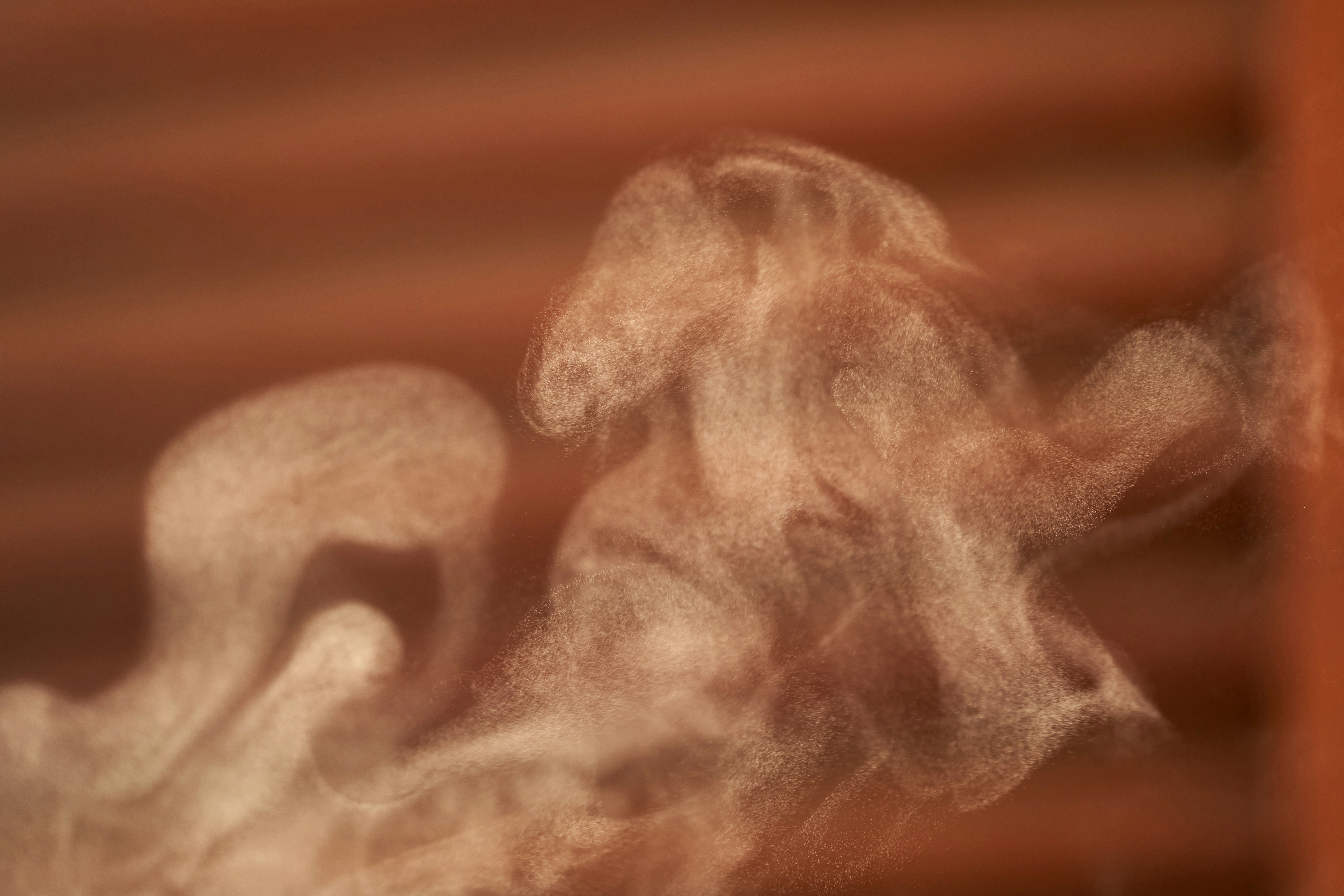 Photo by wolfgang_hasselmann