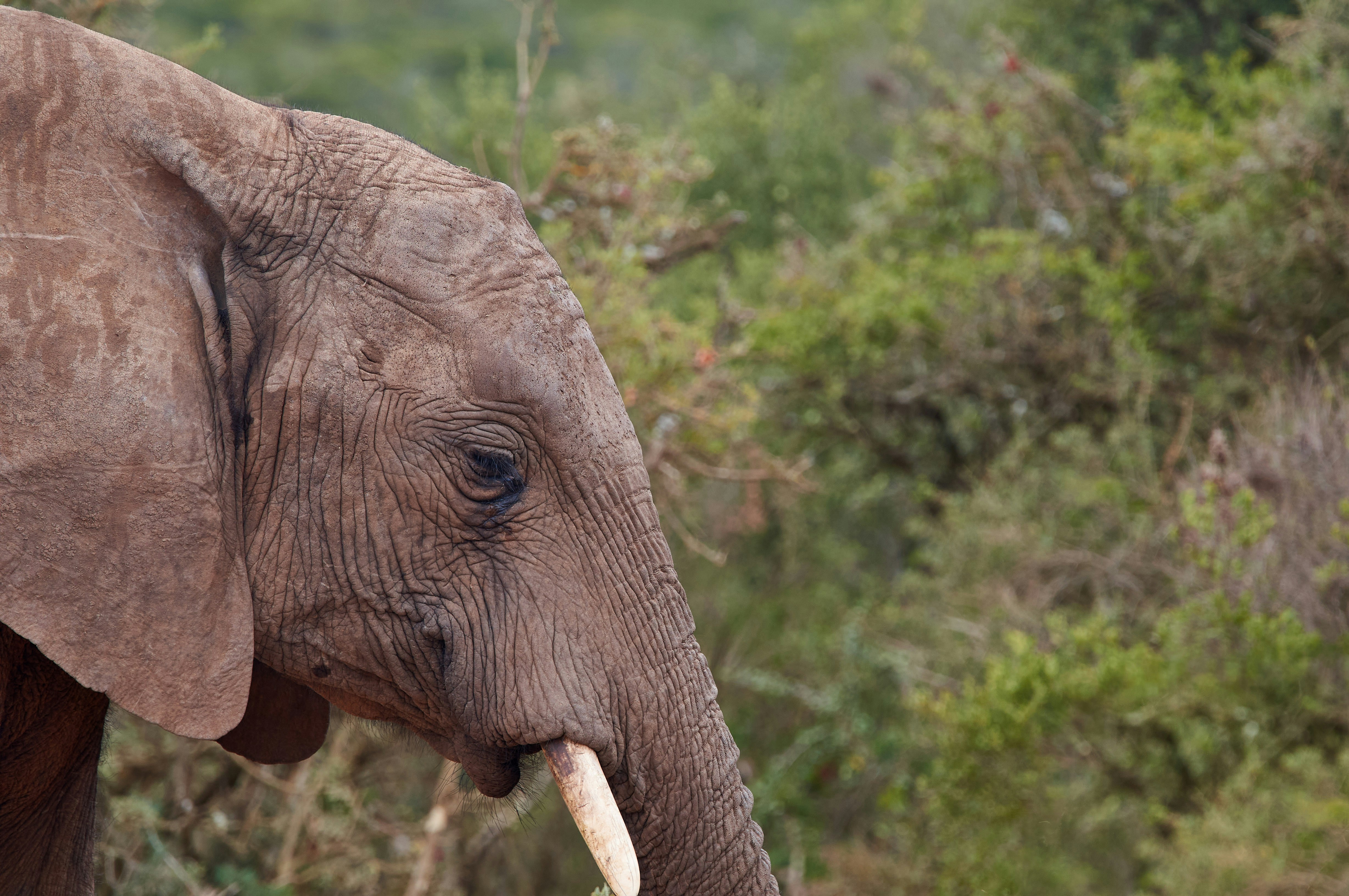 Photo by wolfgang_hasselmann