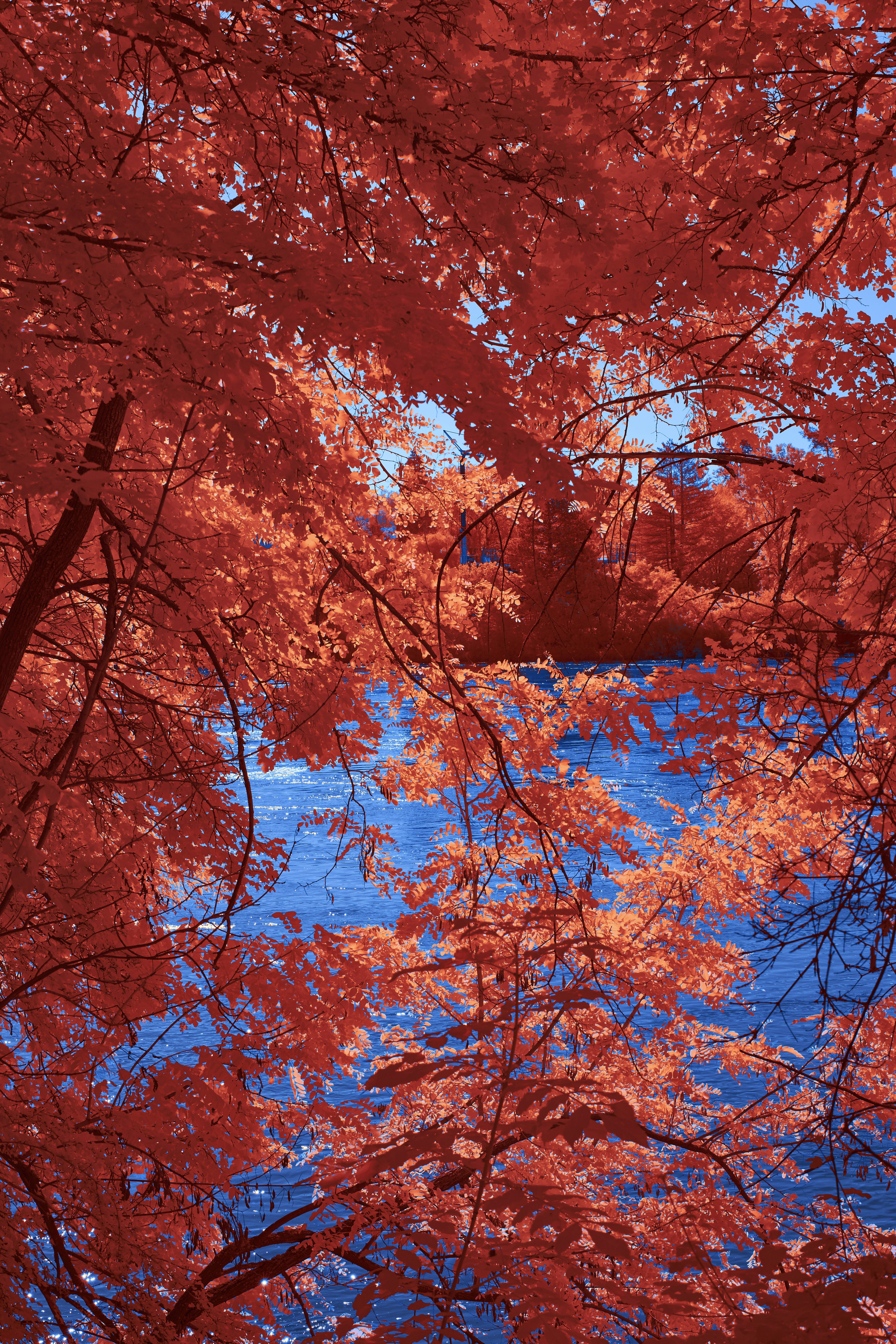 Photo by wolfgang_hasselmann