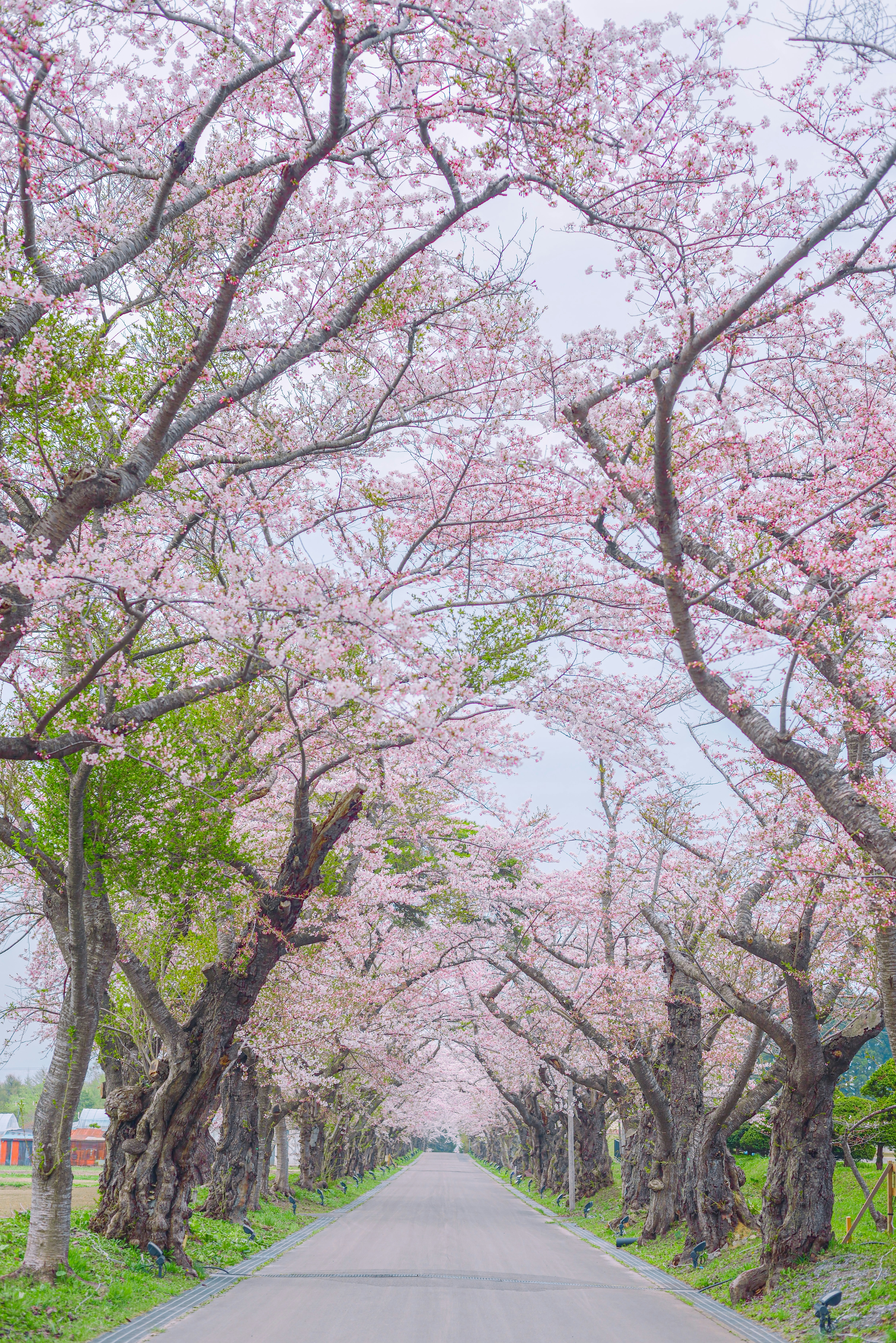 Photo by terra_gallery