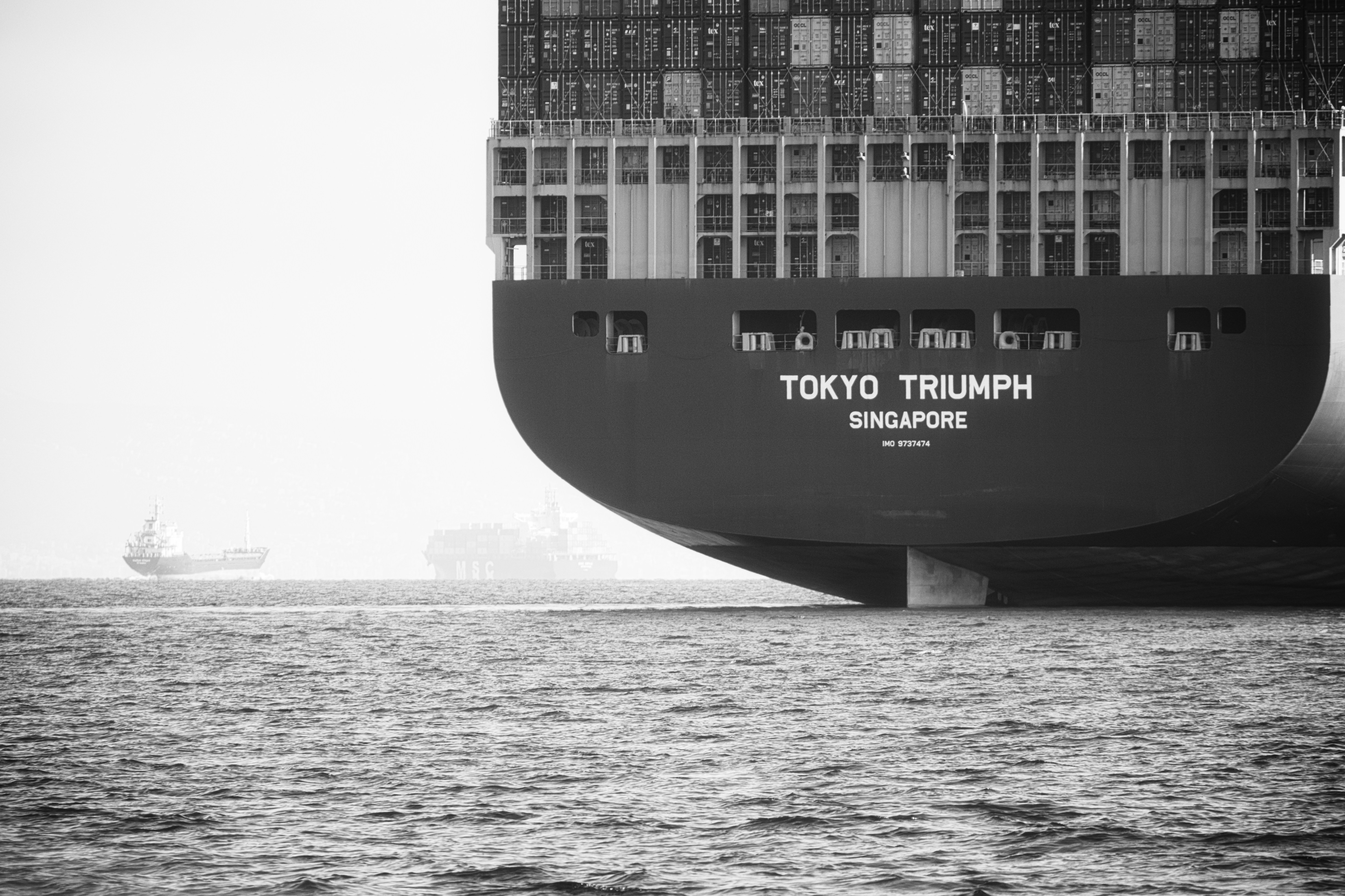 Packaging Labeling and Documentation Best Practices for Compliance