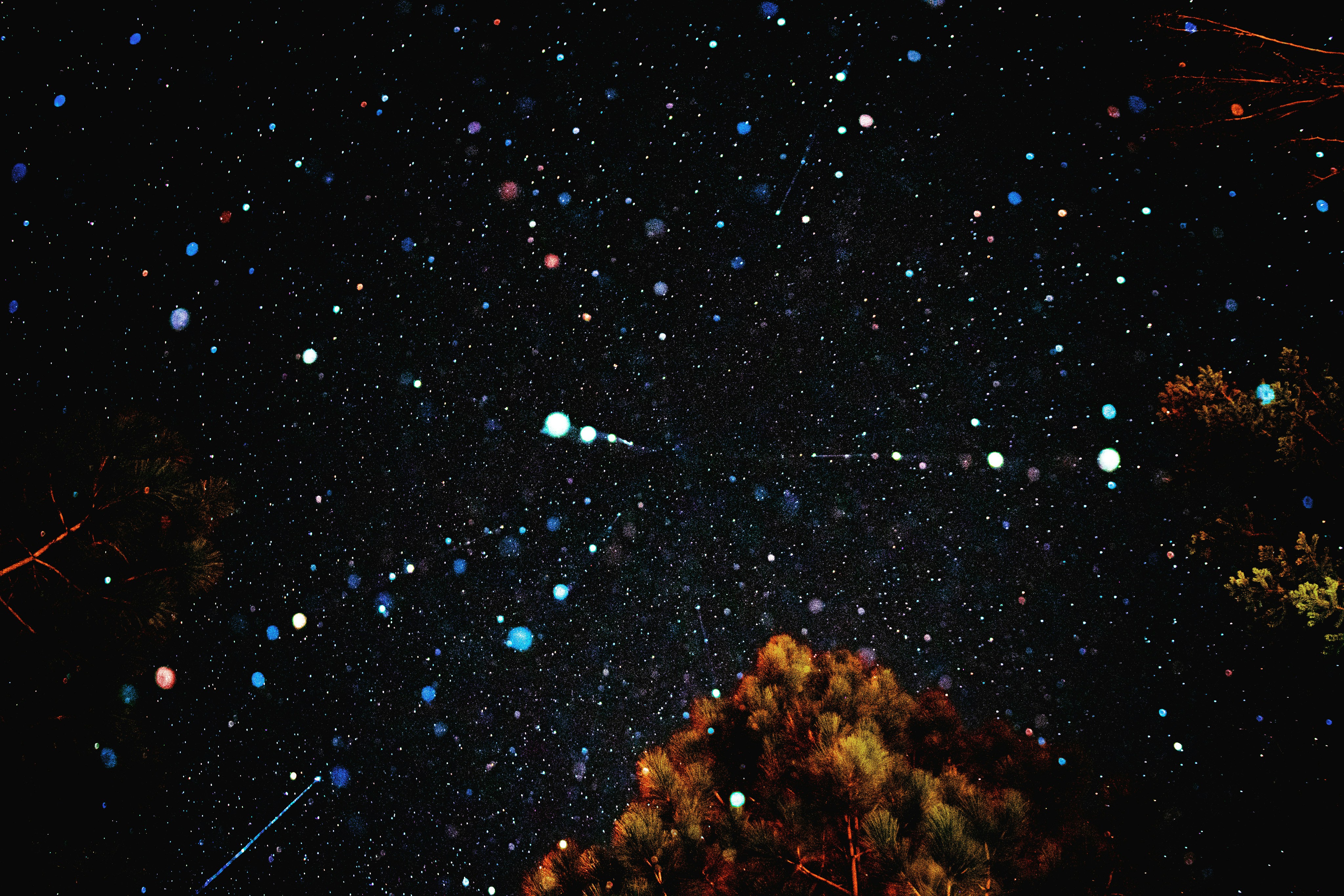 a starry night sky with a tree and stars