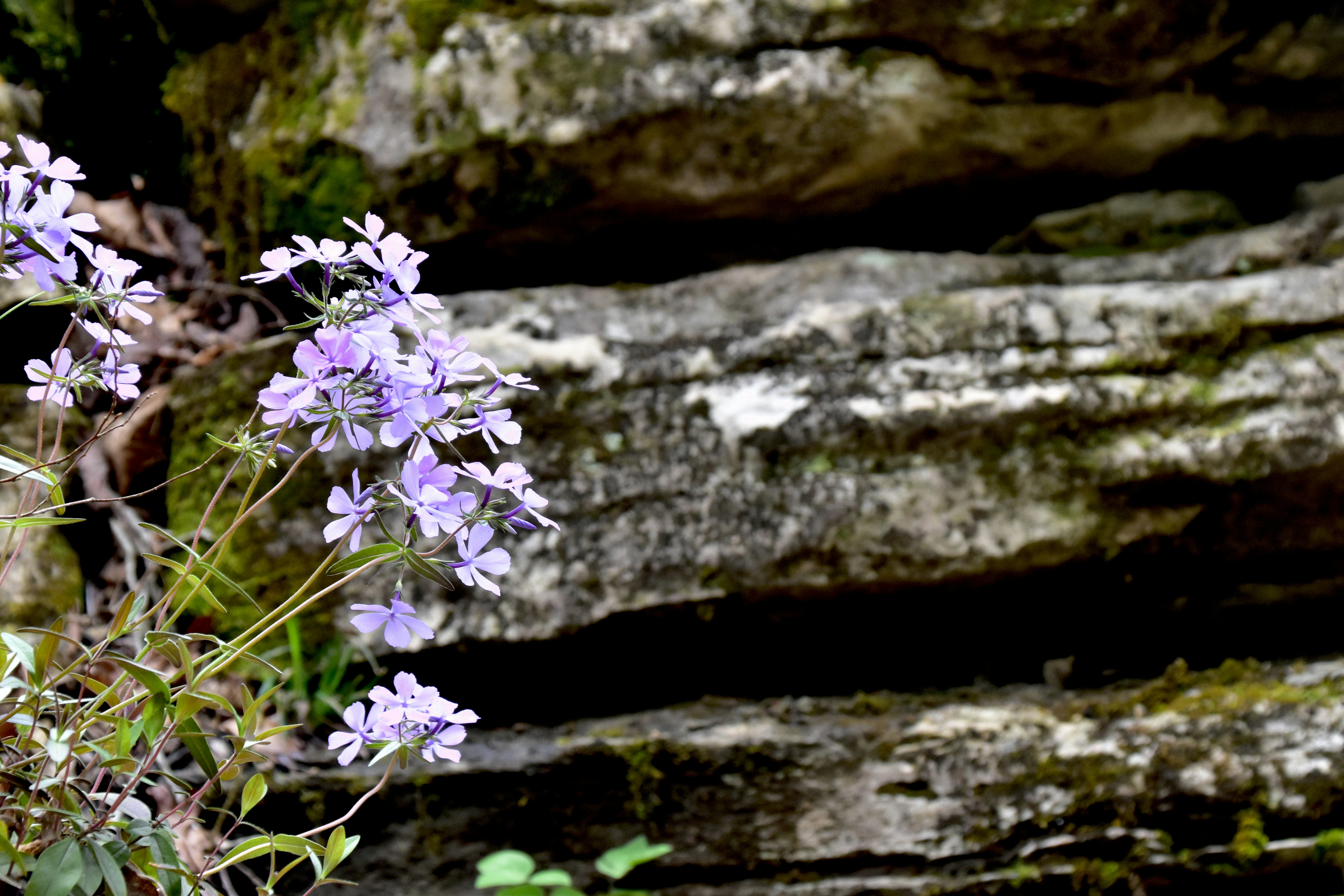 rustic outdoor wallpaper, wallpaper, Rustic Outdoor Patio Layout Ideas 6