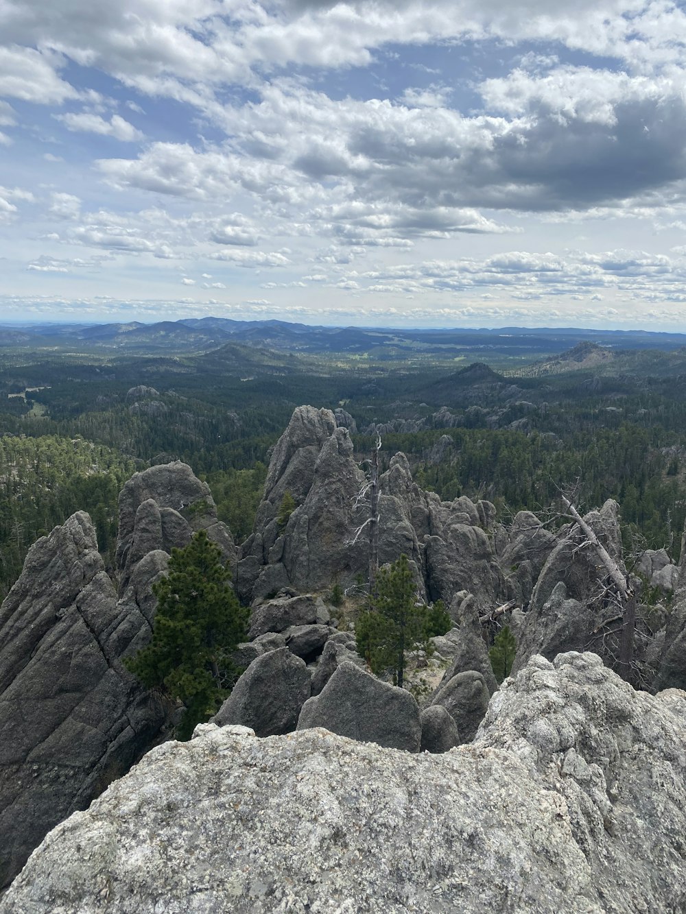 a rocky landscape with trees and mountains in the background