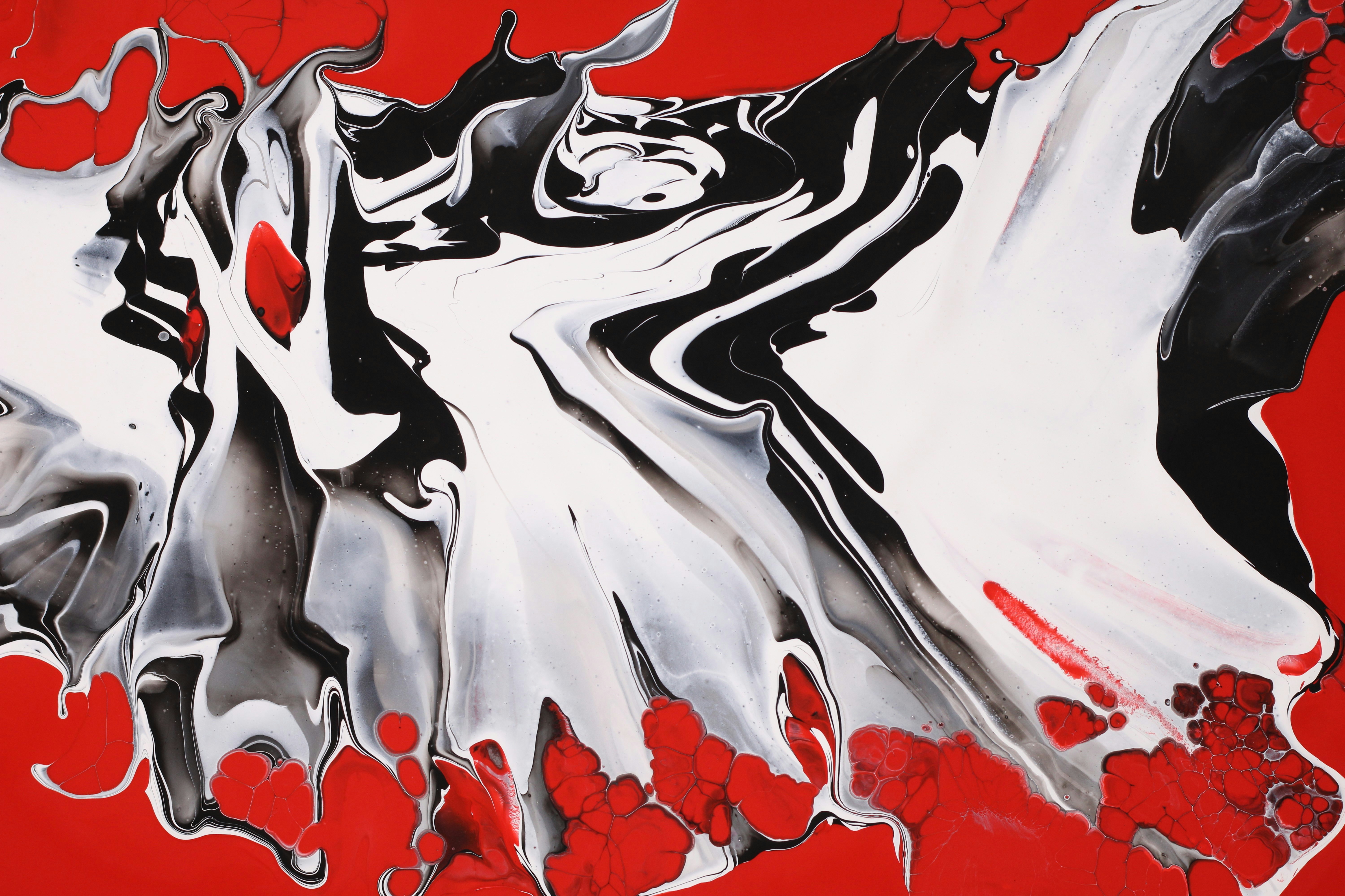 Photo by susan_wilkinson