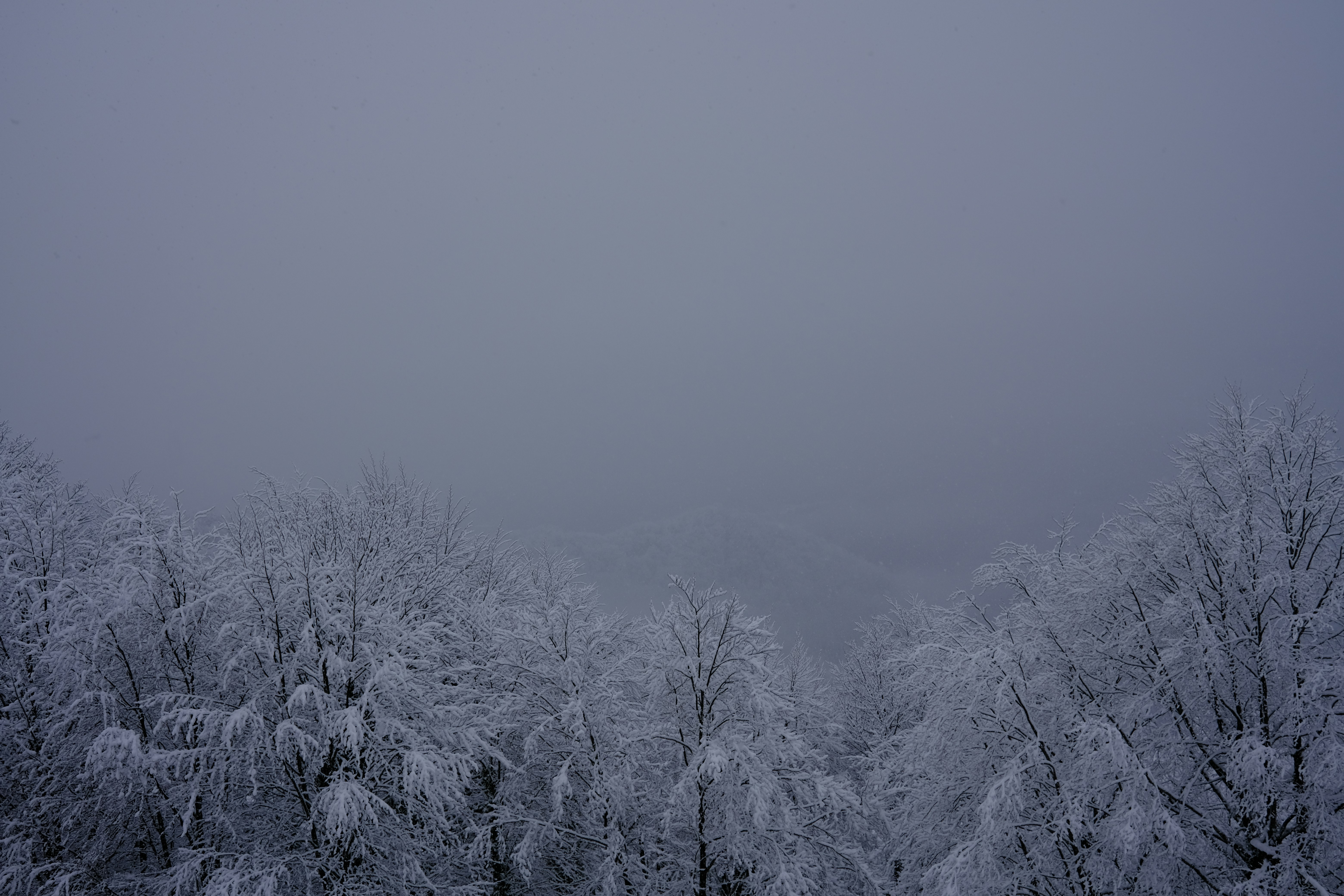 Photo by chris_designer