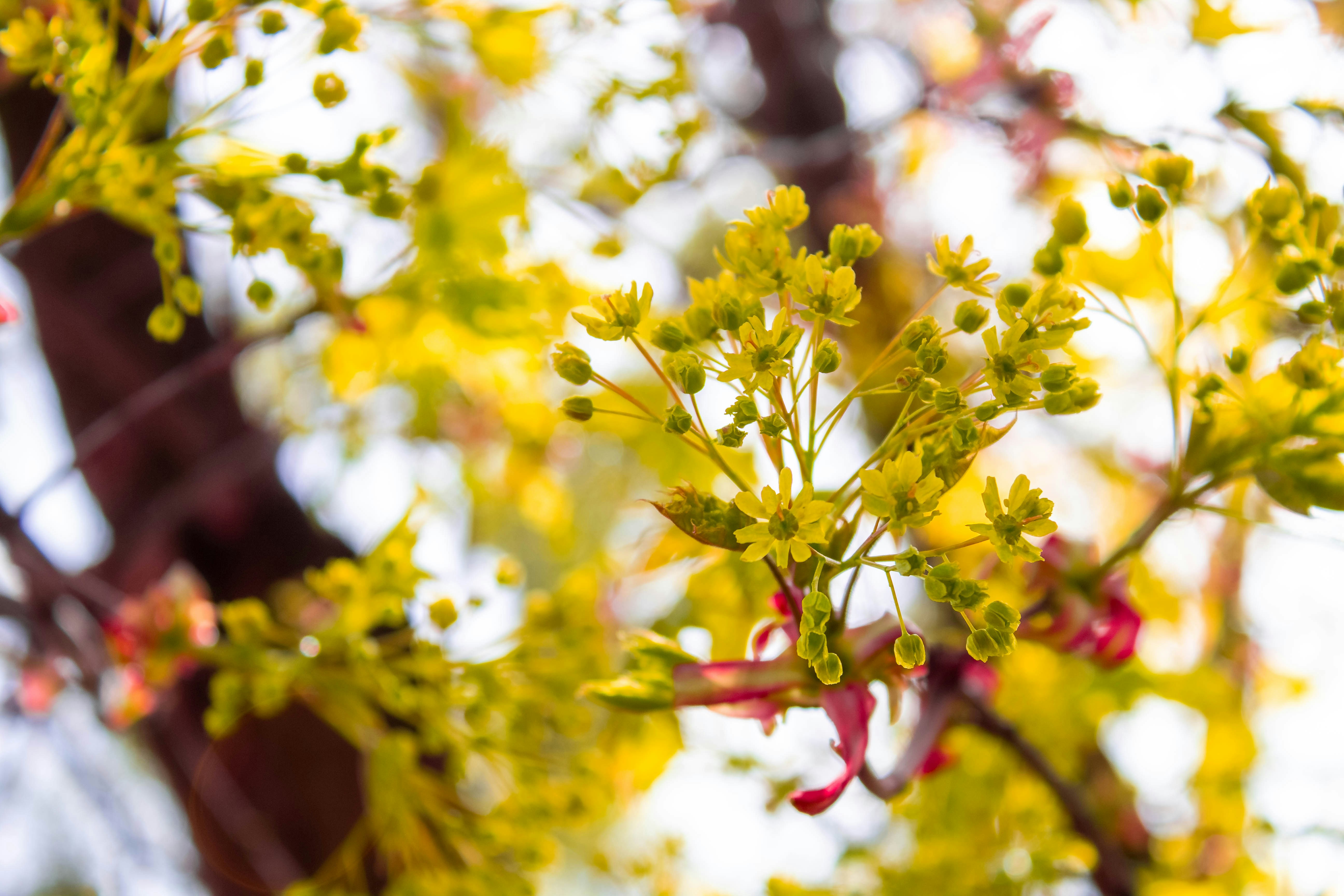 Photo by anamariacalugar