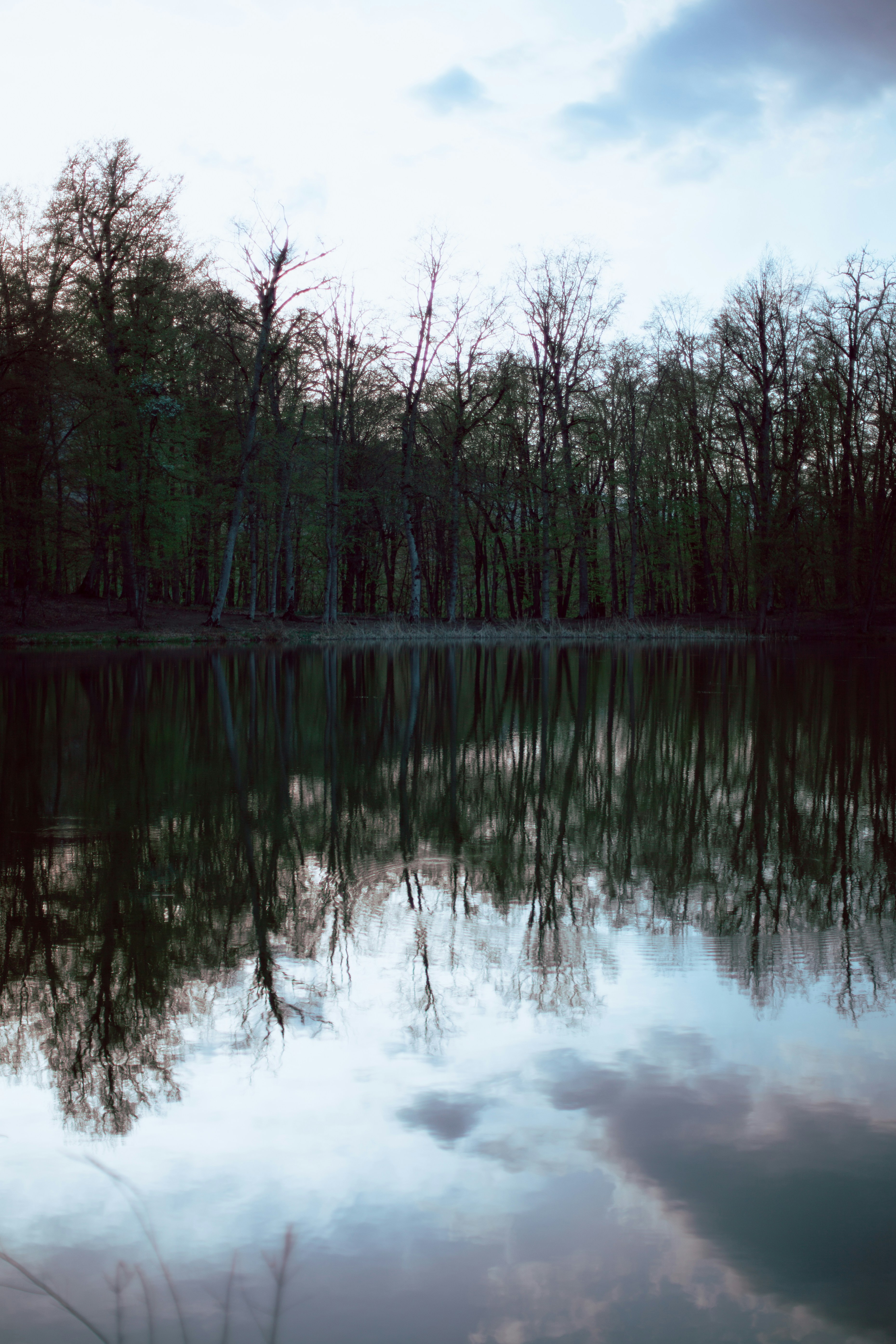 Photo by koryunhills