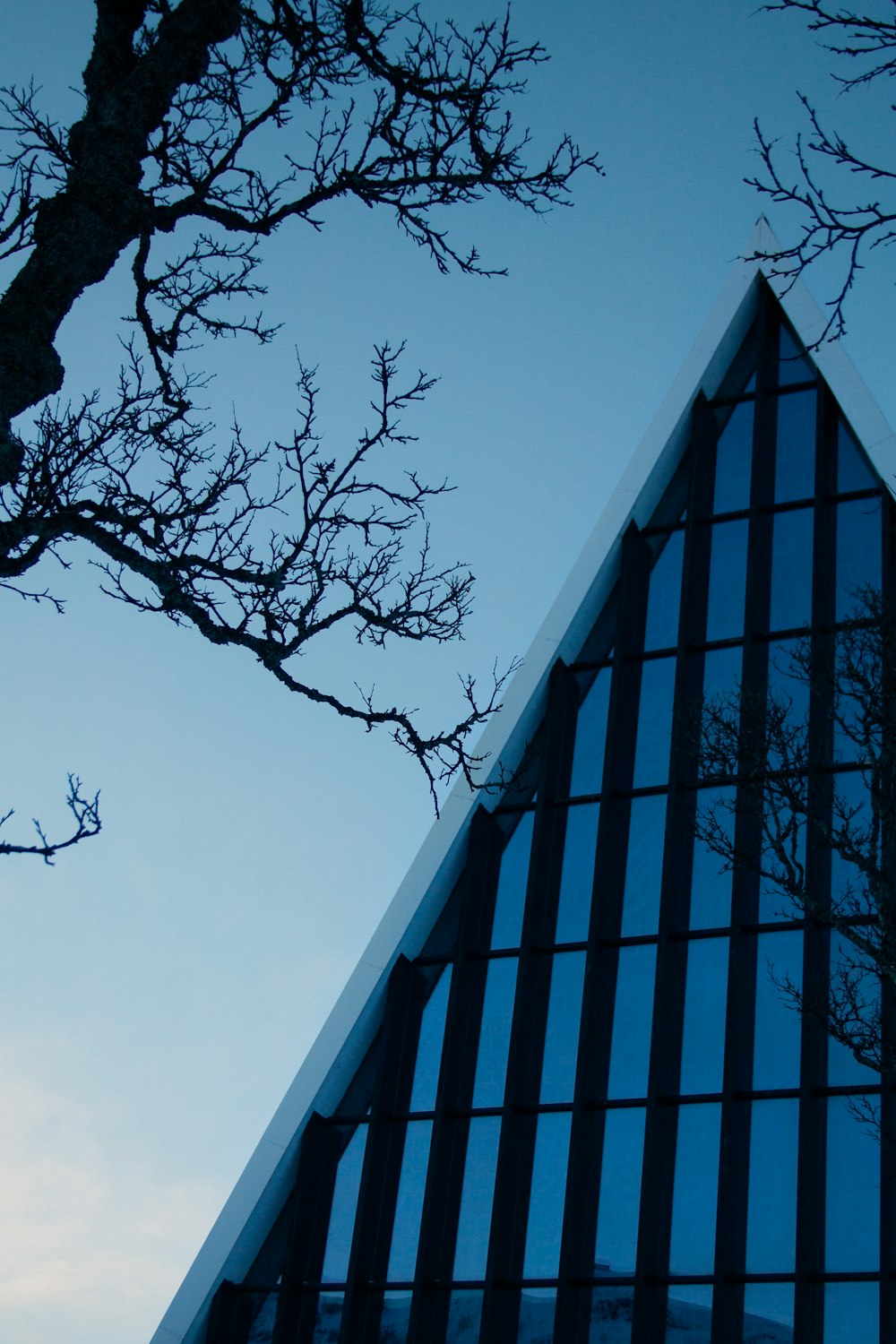 a tall building with a tree in the front