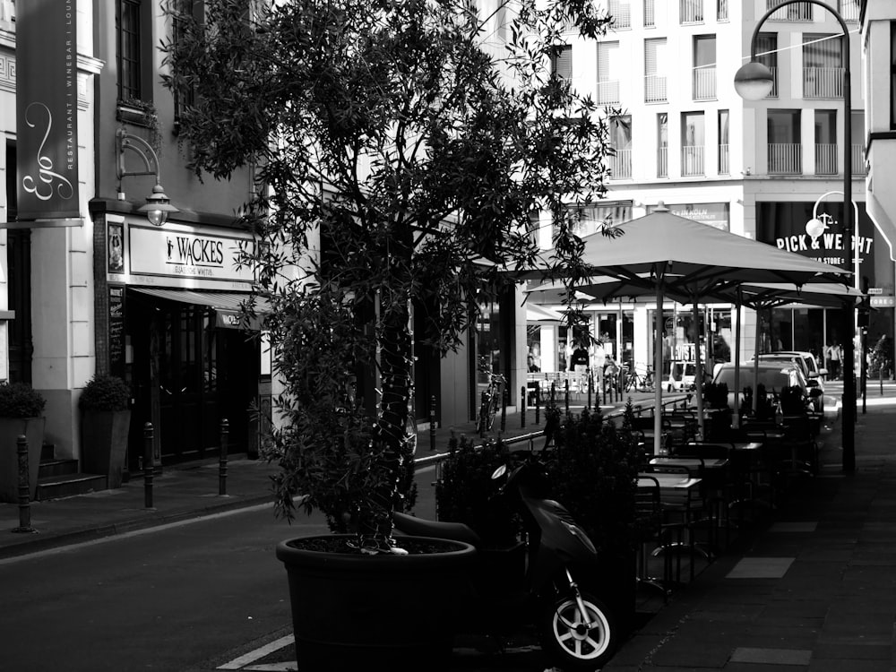 a tree and a stroller on a sidewalk