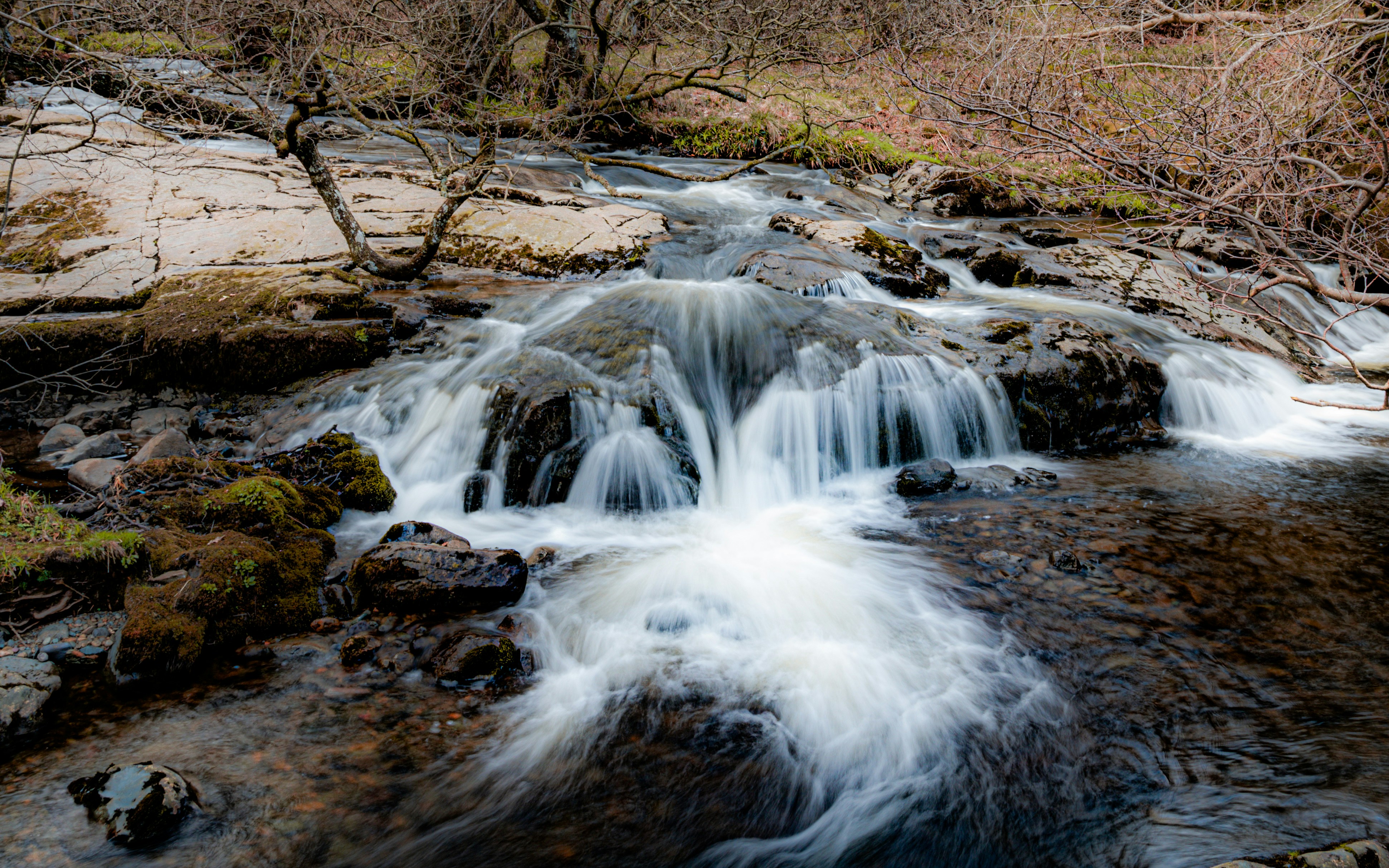 Photo by phoenix_2022