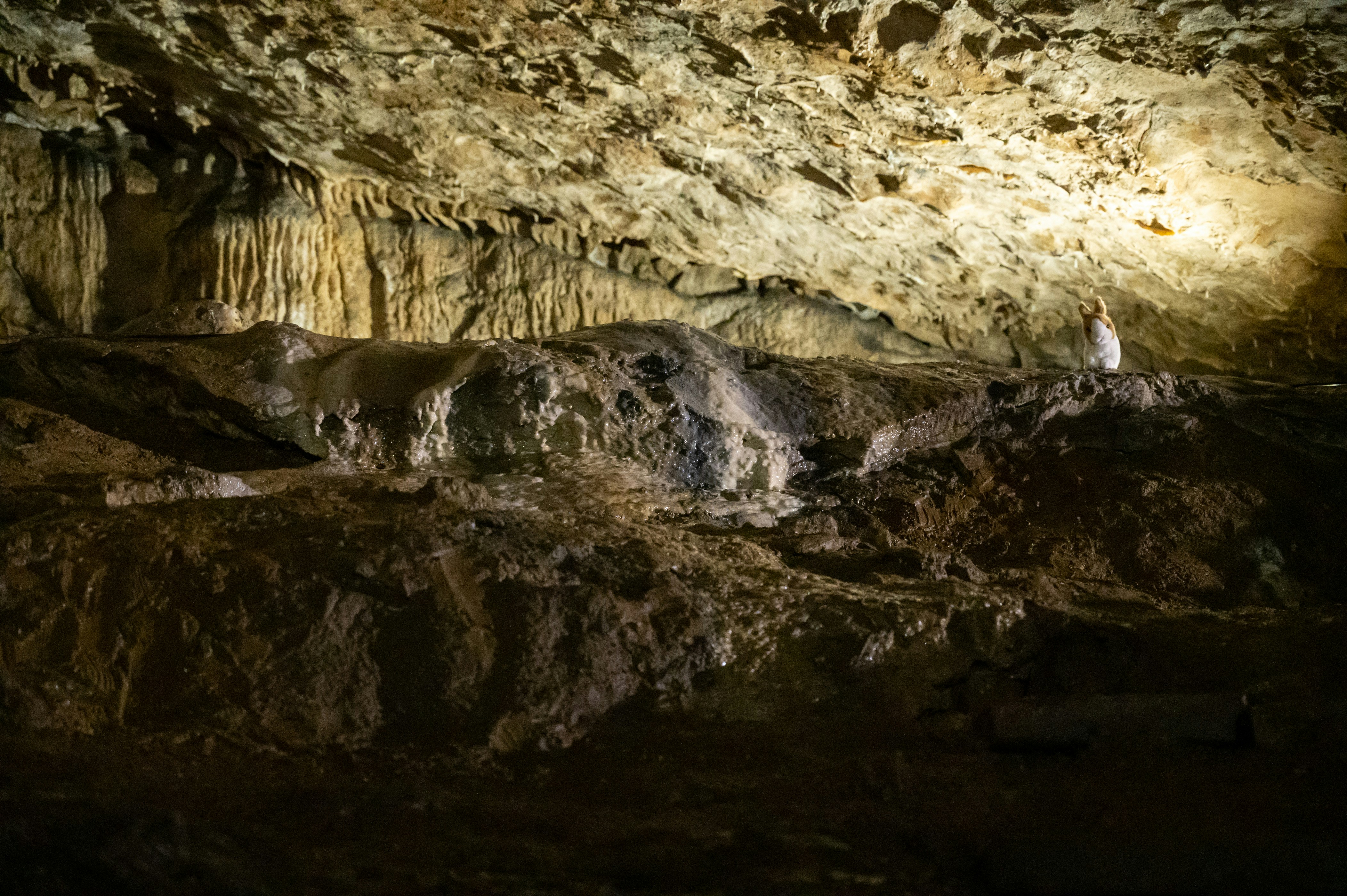 Photo by phoenix_2022