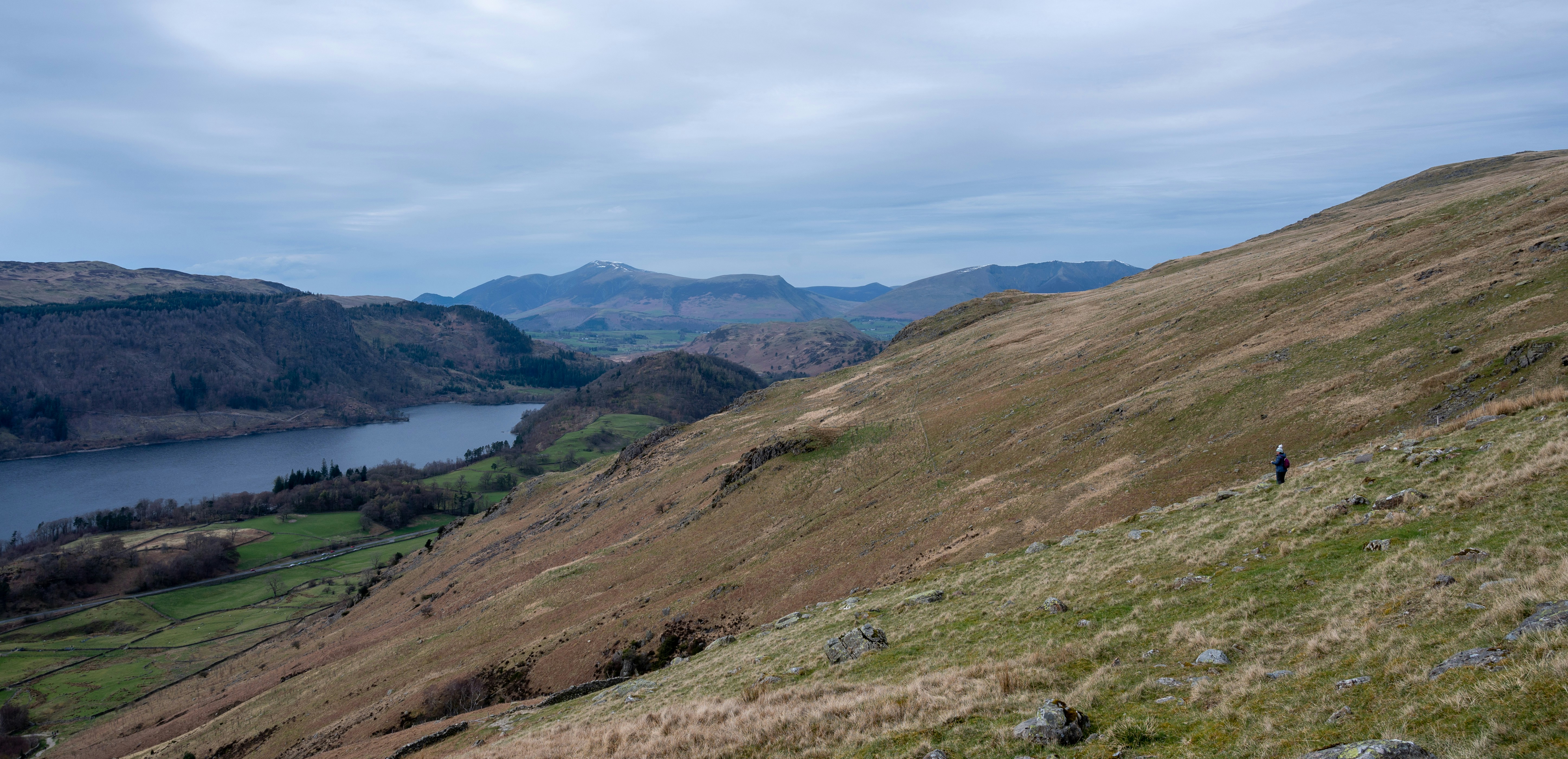 Photo by phoenix_2022