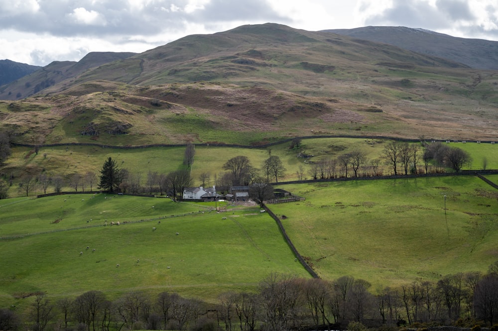 a grassy field with trees and mountains in the background