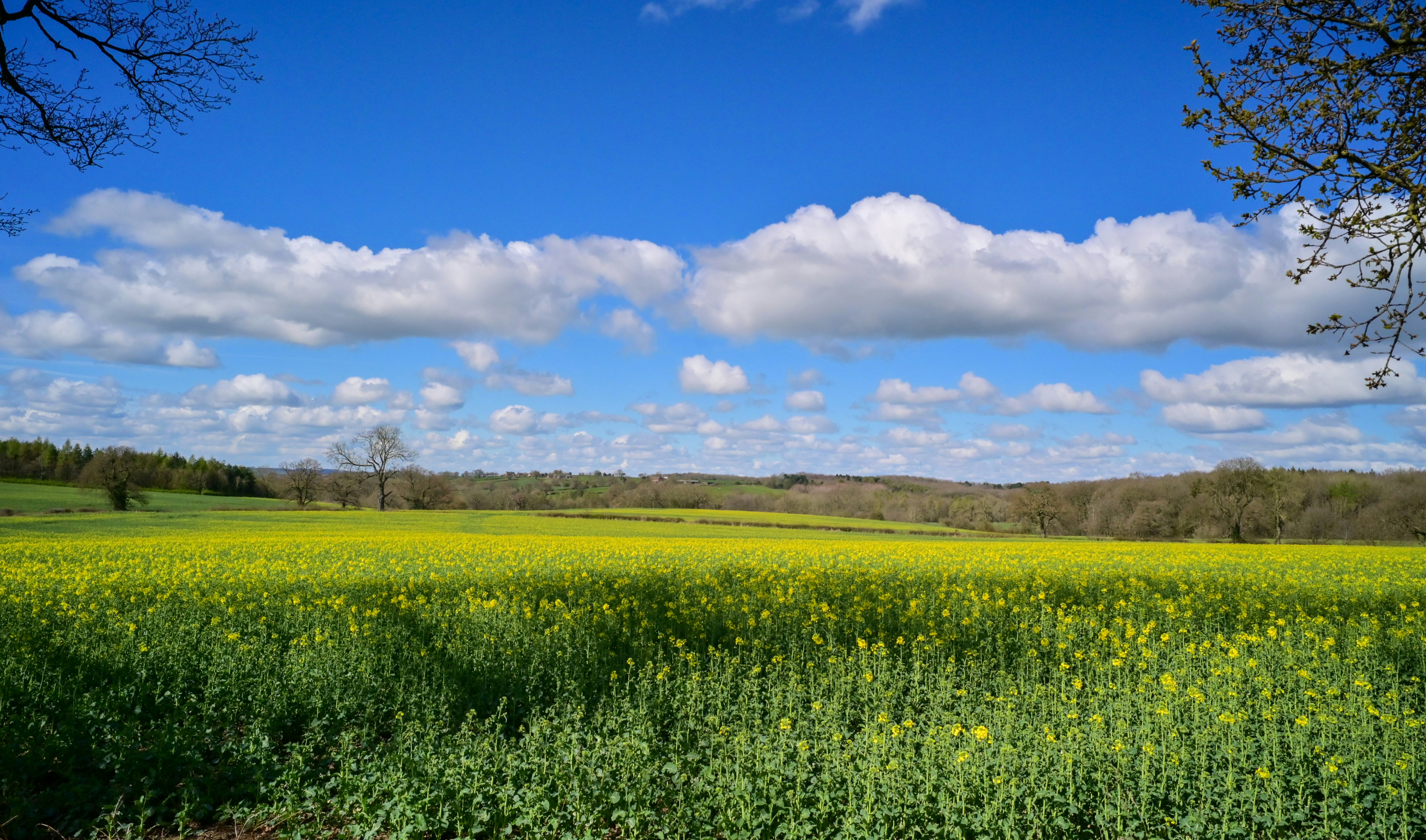 Photo by phoenix_2022